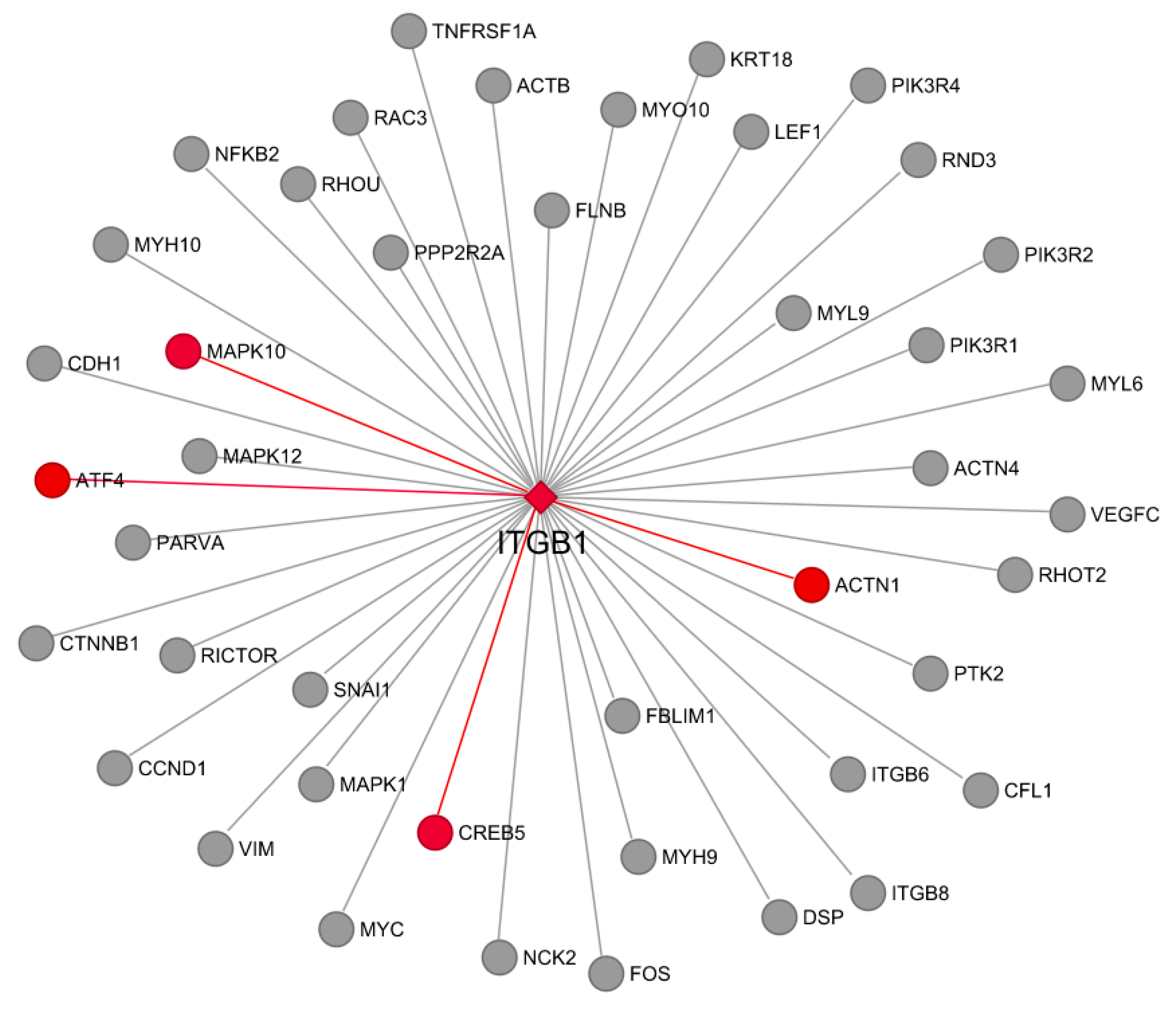 Genes 13 00535 g006 Genes 13 00535 g006