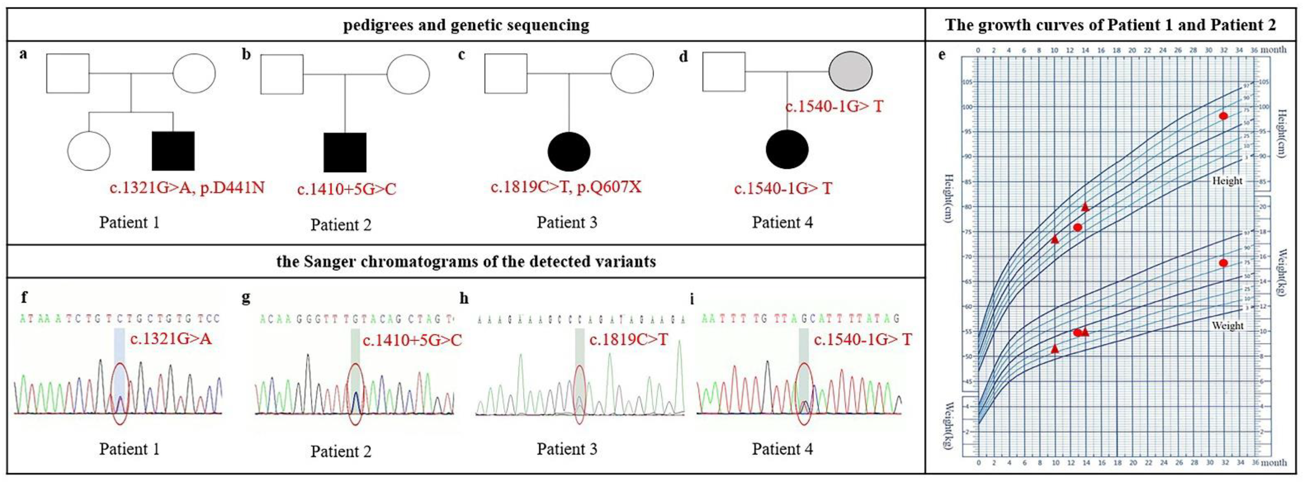 Genes 13 00536 g001