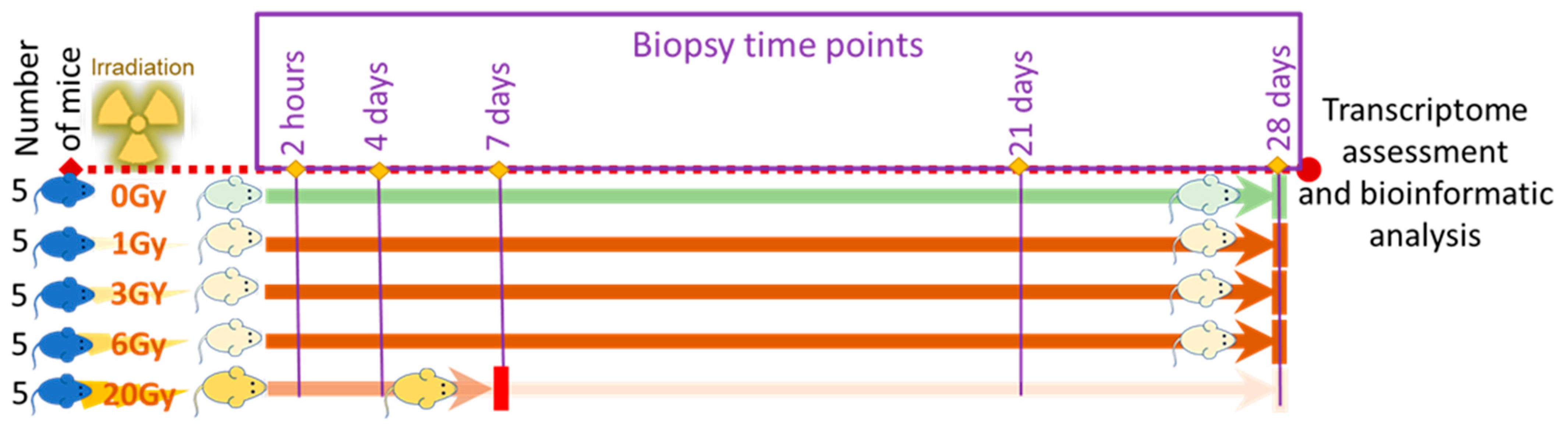 Genes 13 00538 g001 Genes 13 00538 g001