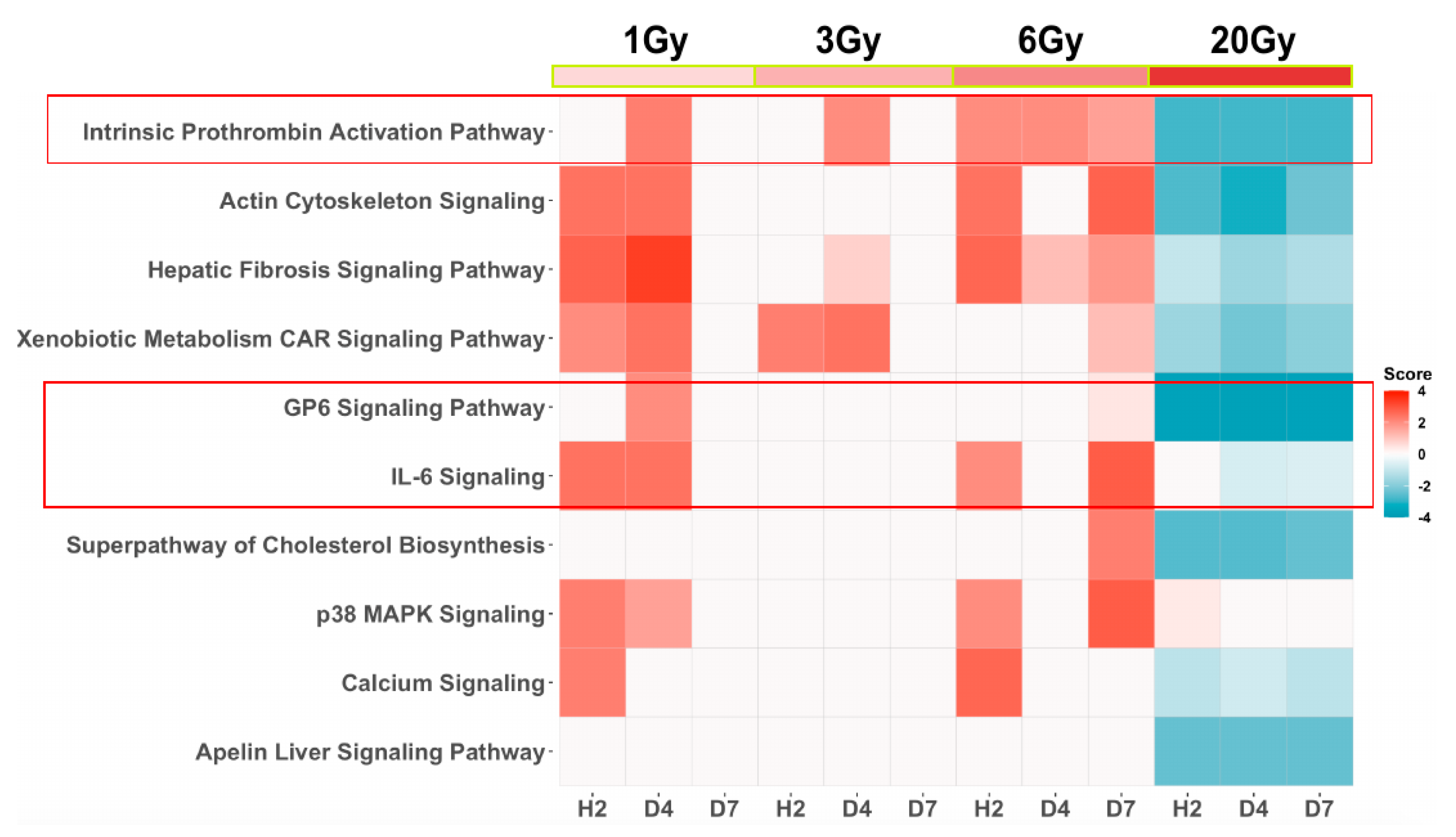 Genes 13 00538 g003 Genes 13 00538 g003