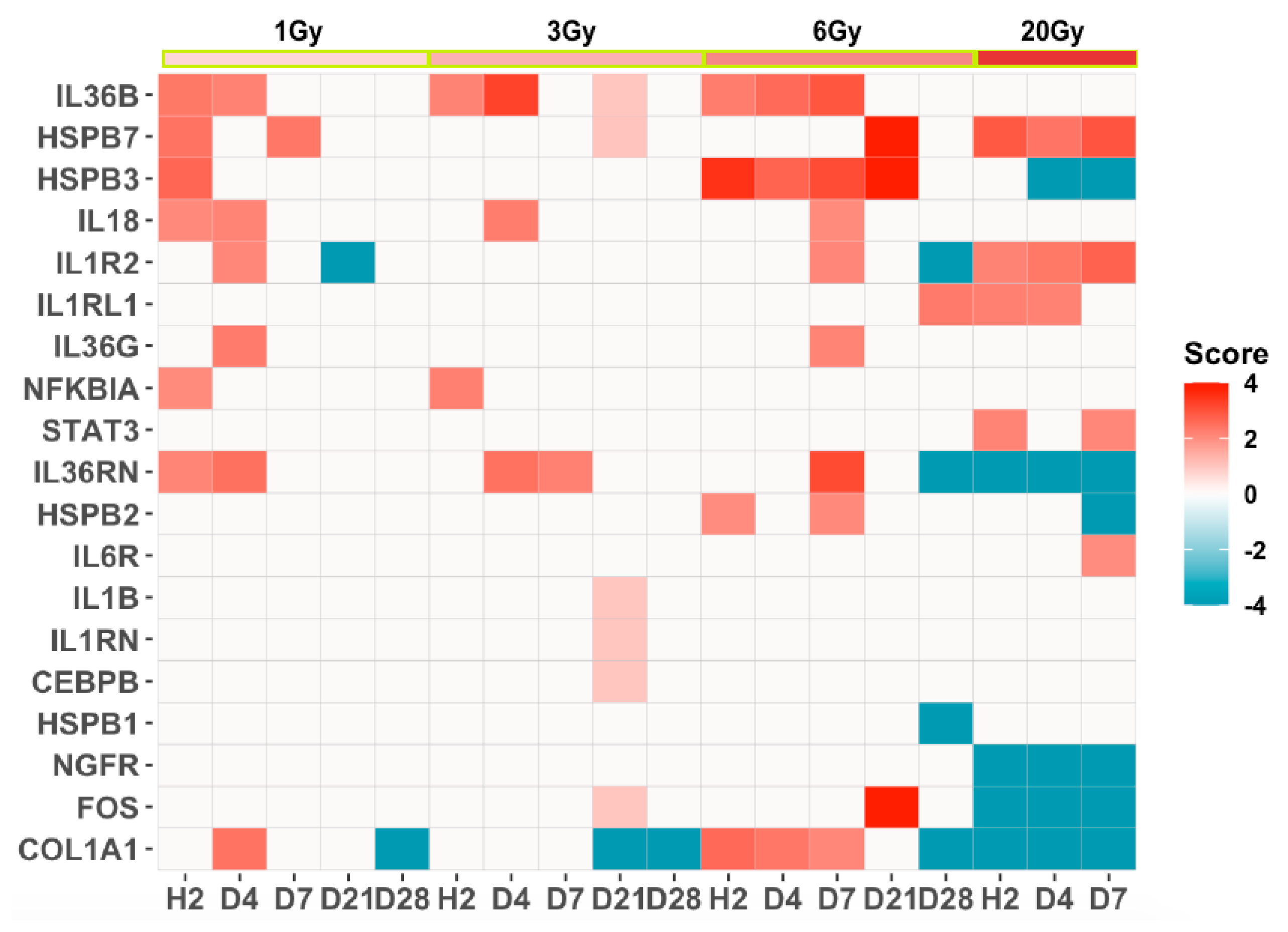 Genes 13 00538 g005 Genes 13 00538 g005
