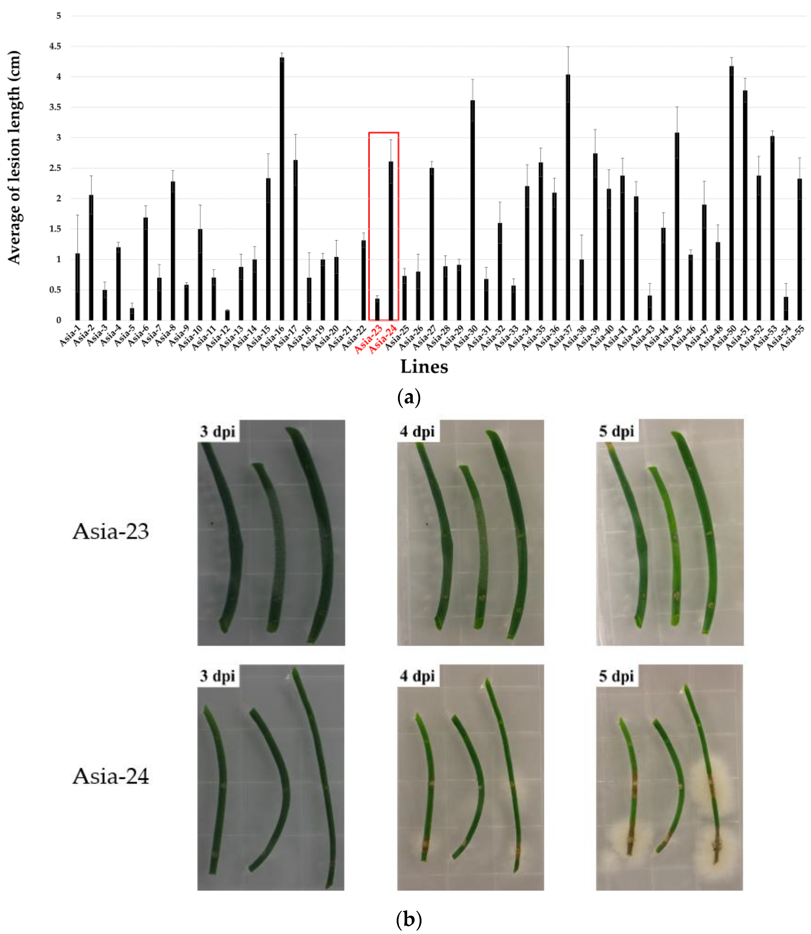 Genes 13 00542 g002 Genes 13 00542 g002