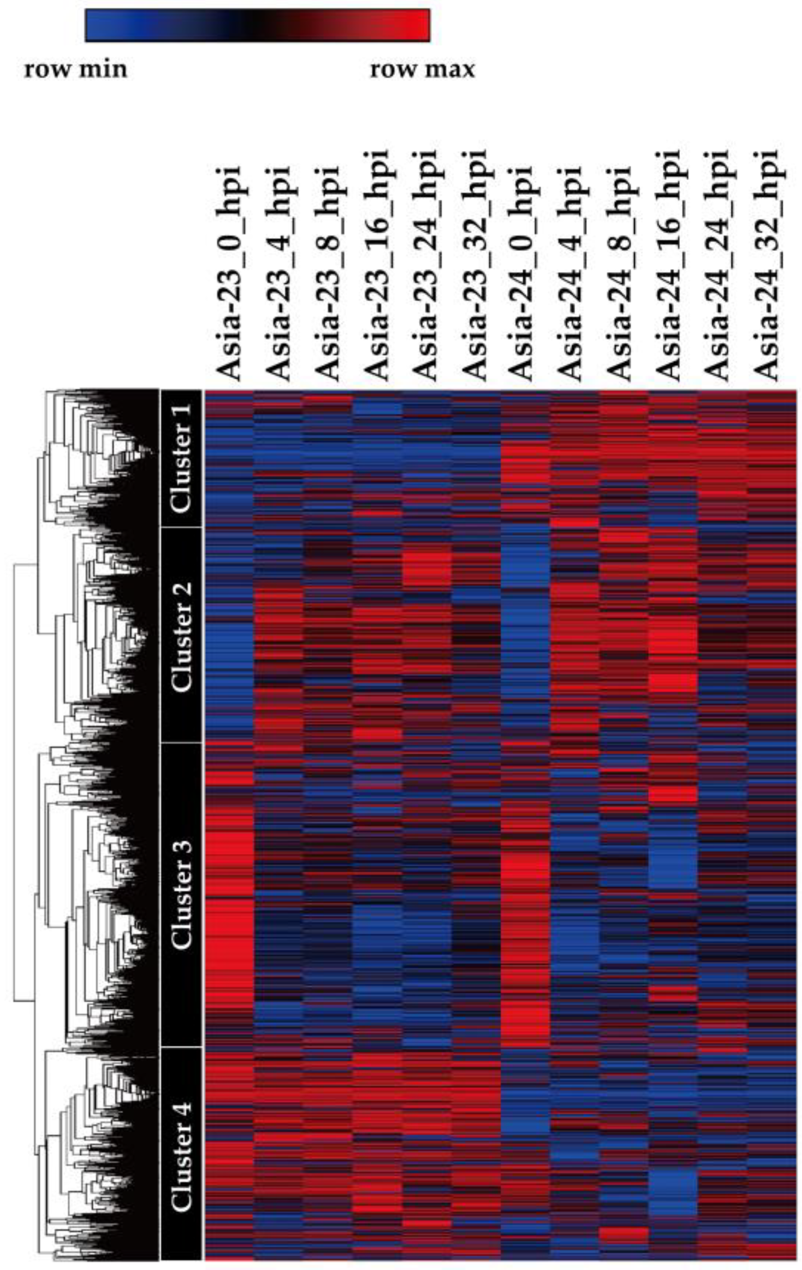 Genes 13 00542 g003 Genes 13 00542 g003