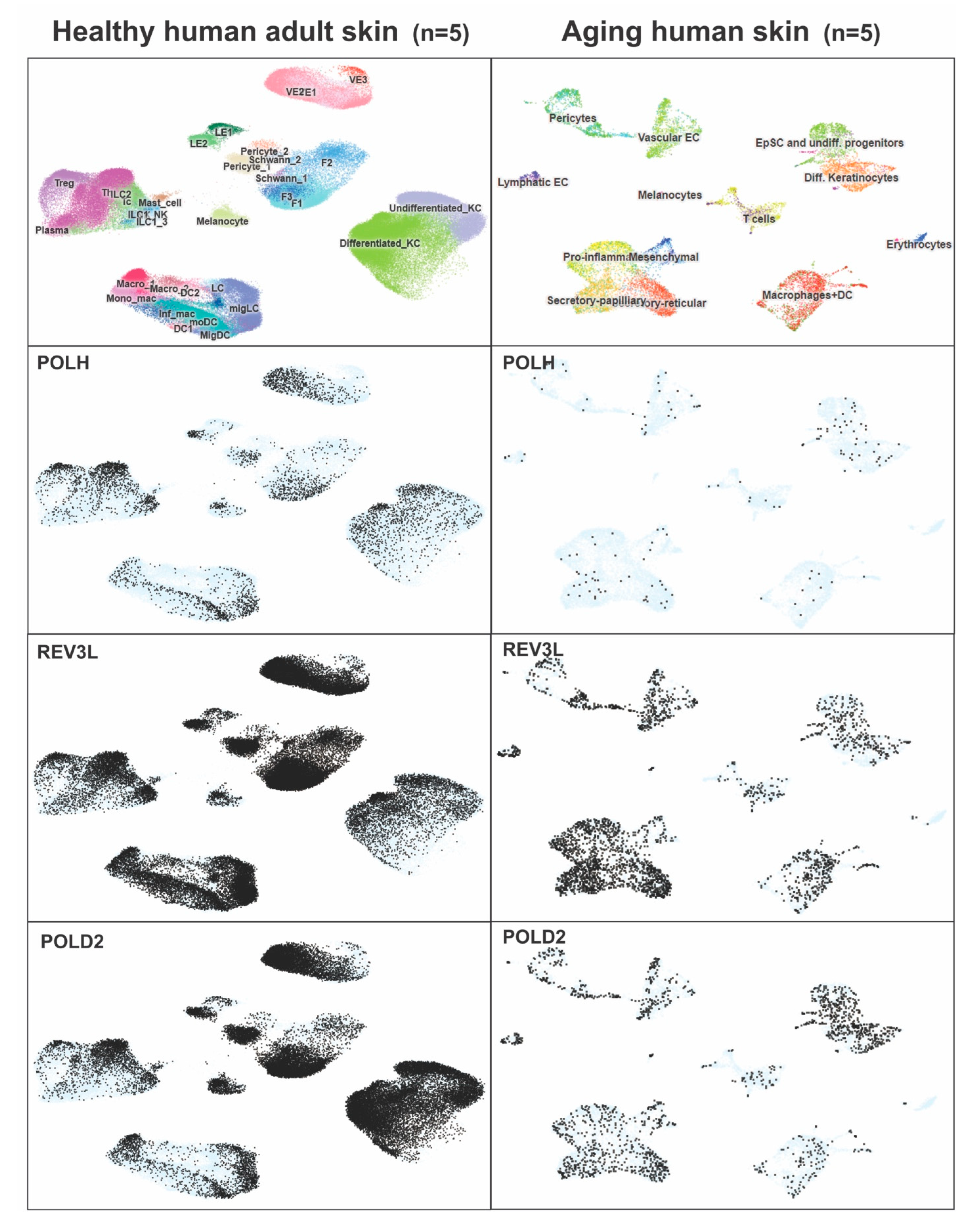 Genes 13 00543 g003 550