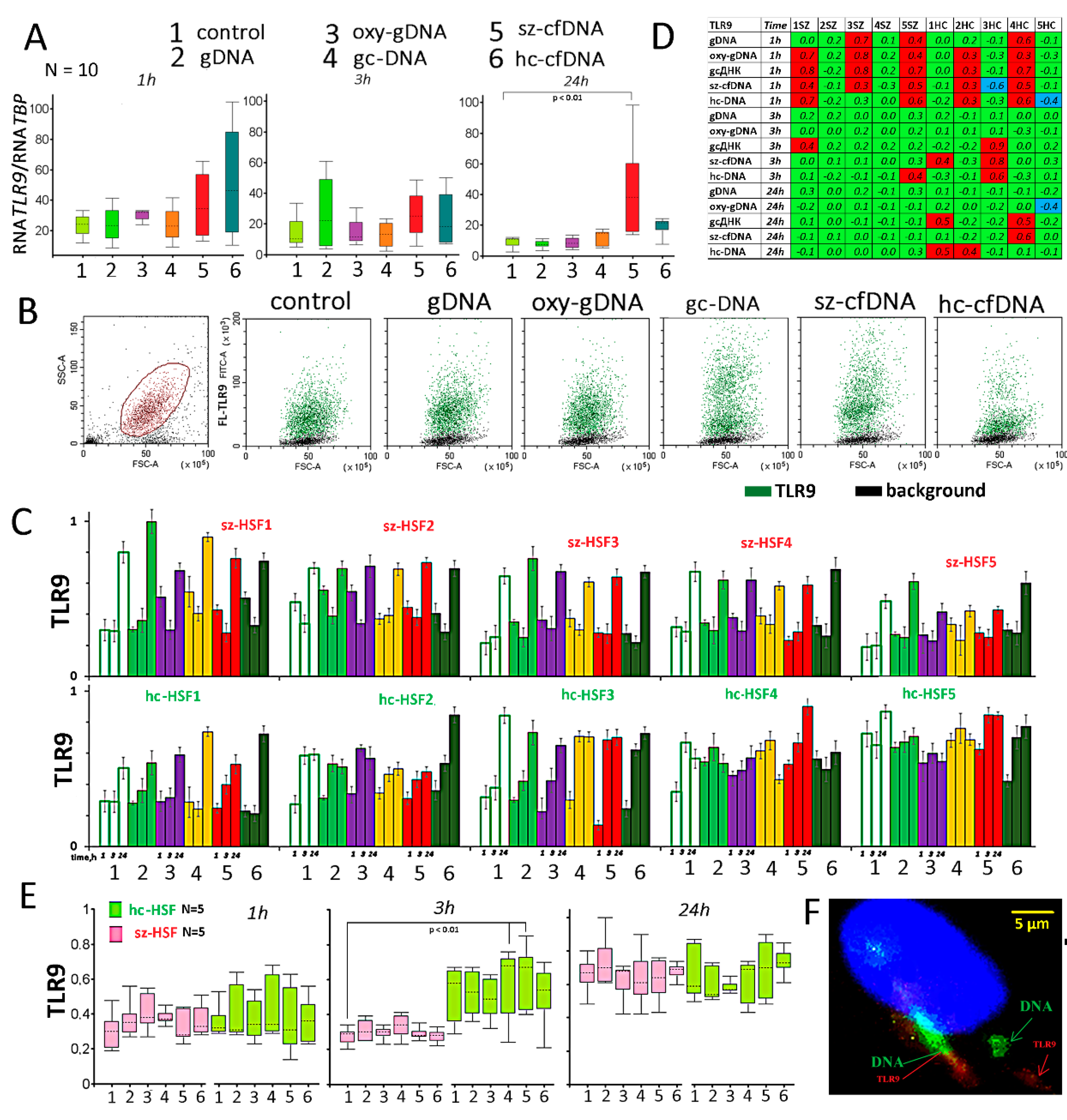 Genes 13 00551 g003 Genes 13 00551 g003