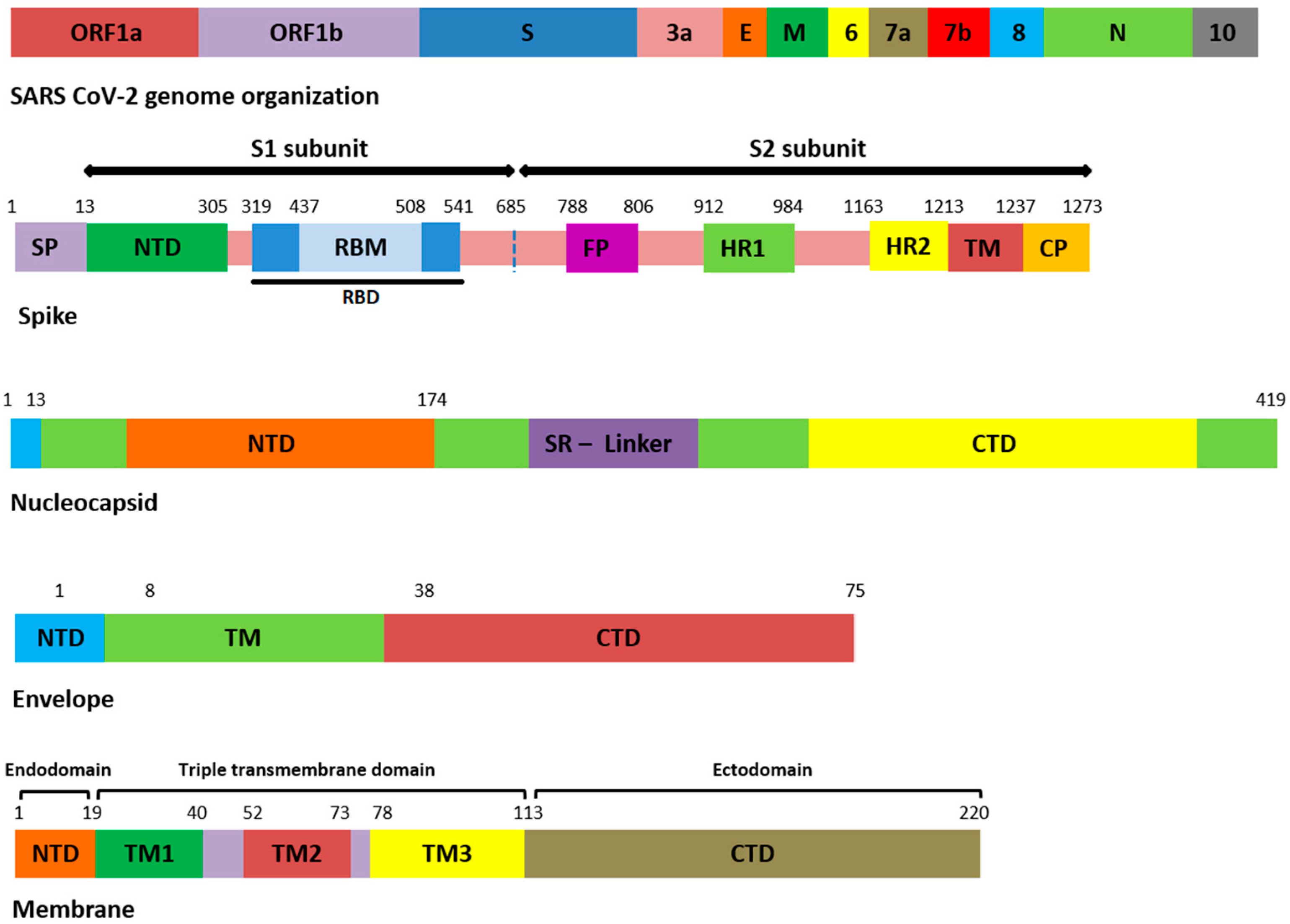 Genes 13 00552 g001 550