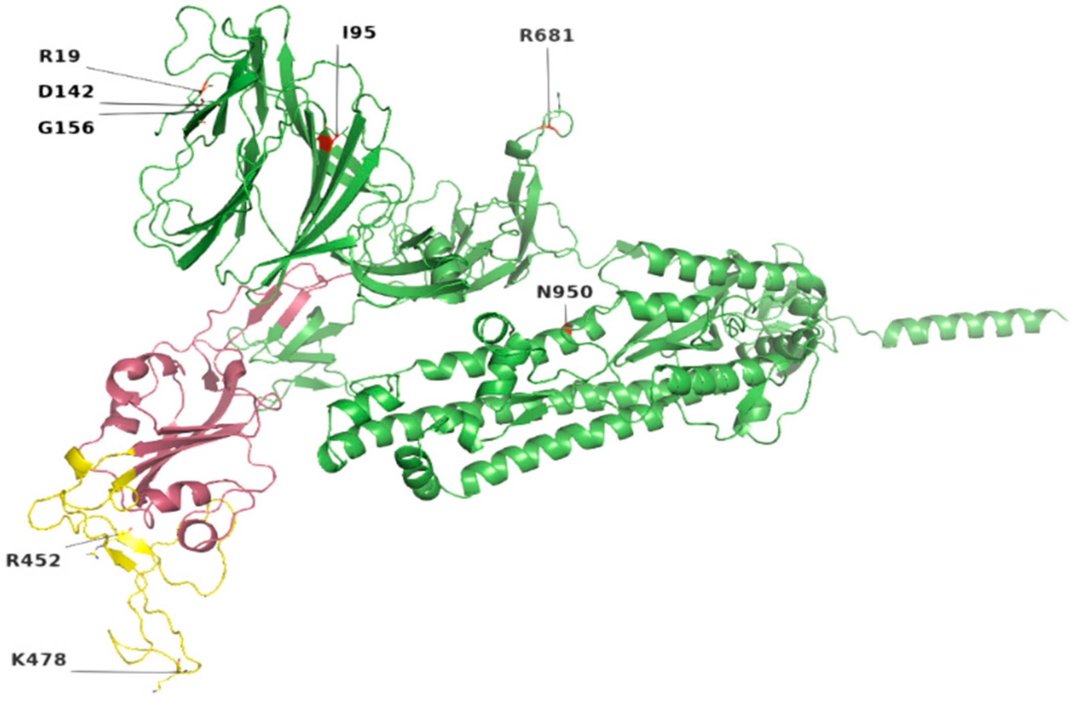 Genes 13 00552 g002 550