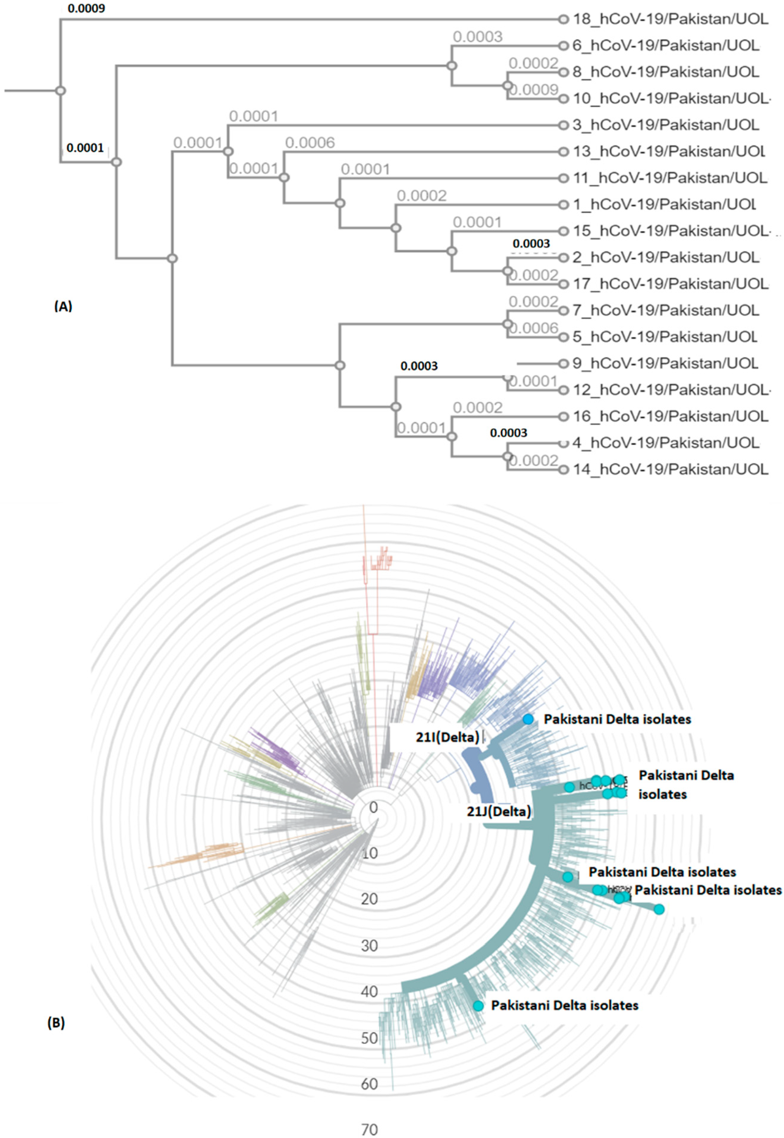 Genes 13 00552 g005 550