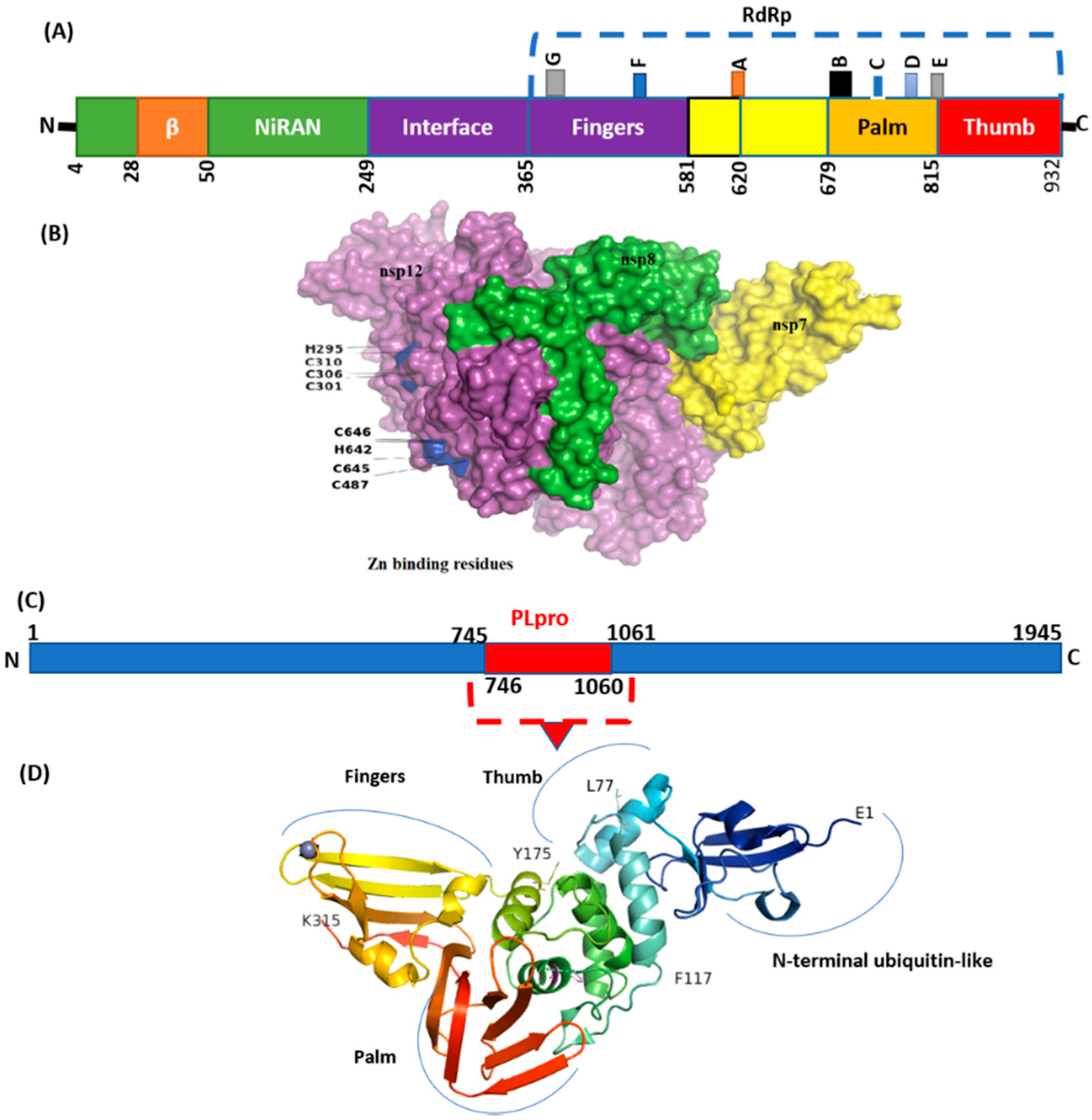 Genes 13 00552 g006 550