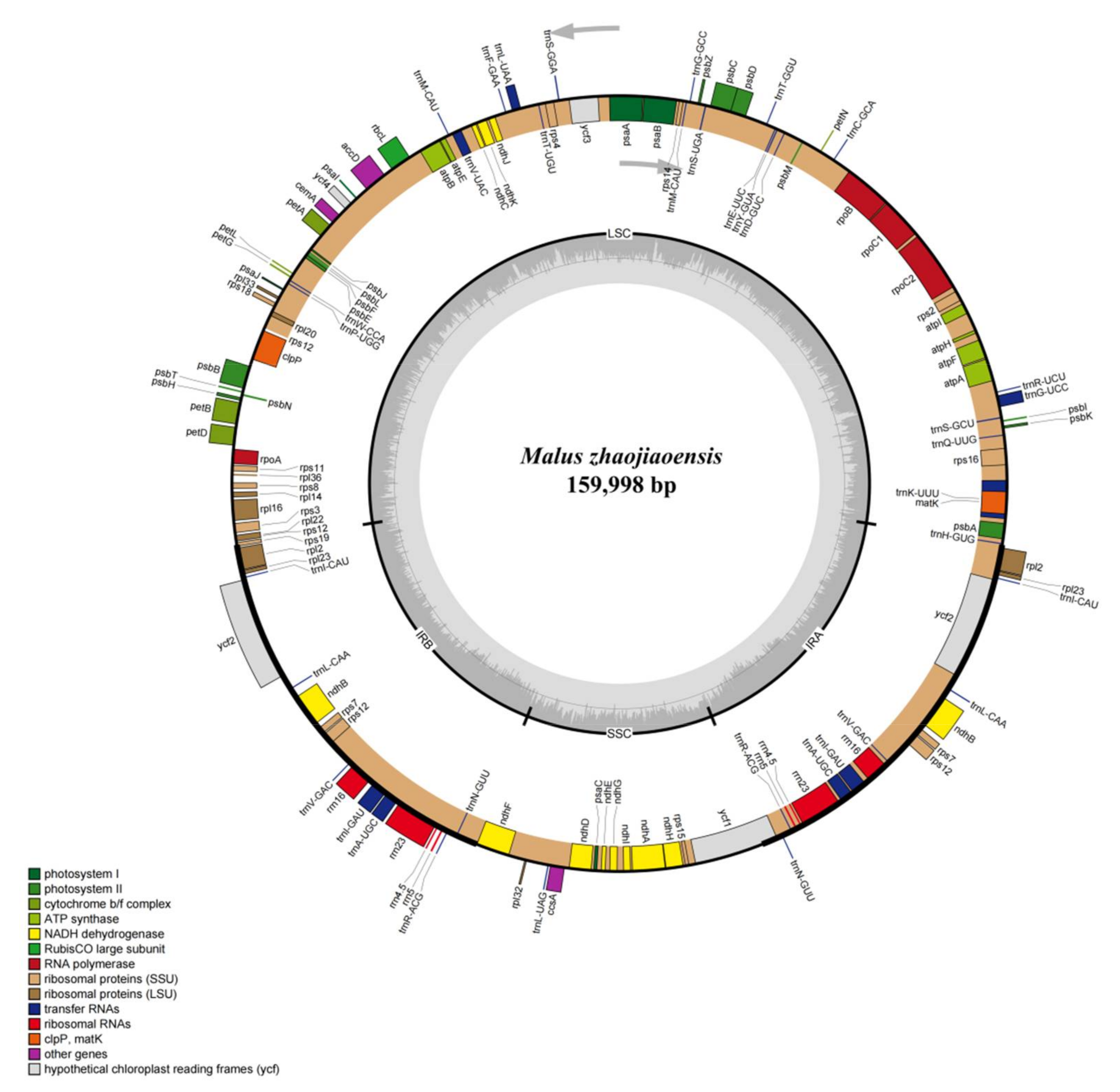Genes 13 00560 g001 550