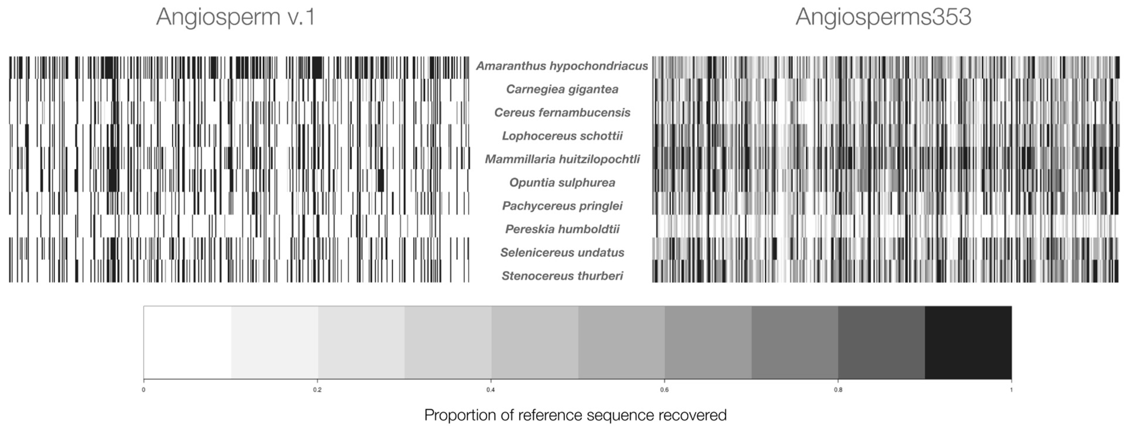 Genes 13 00570 g001