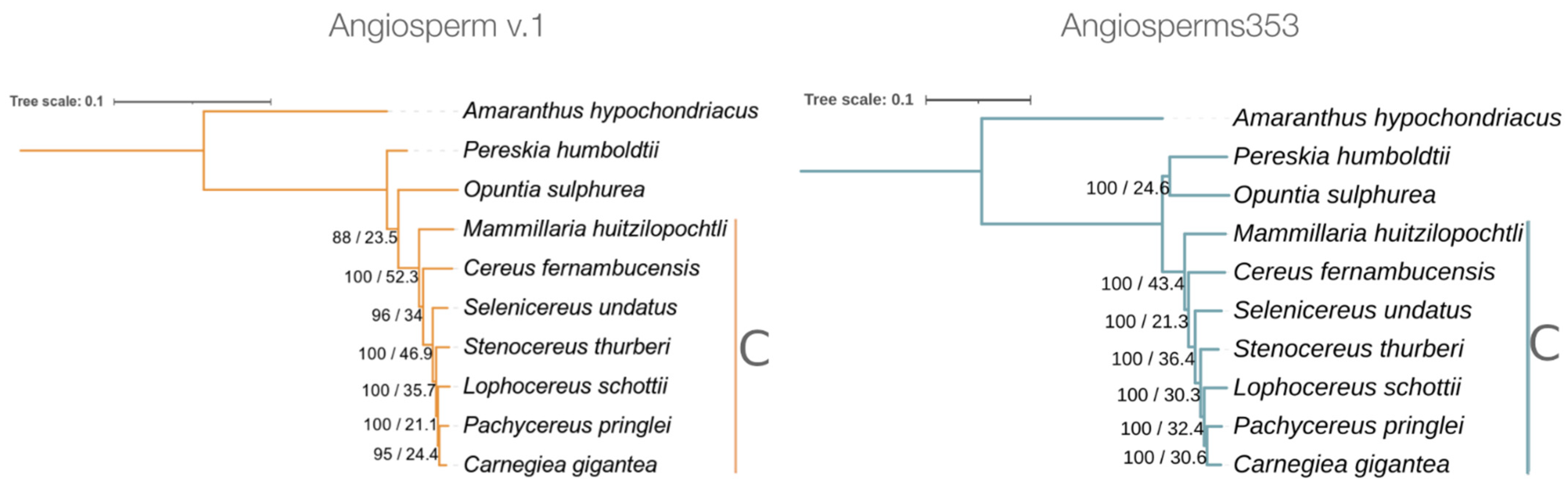 Genes 13 00570 g003
