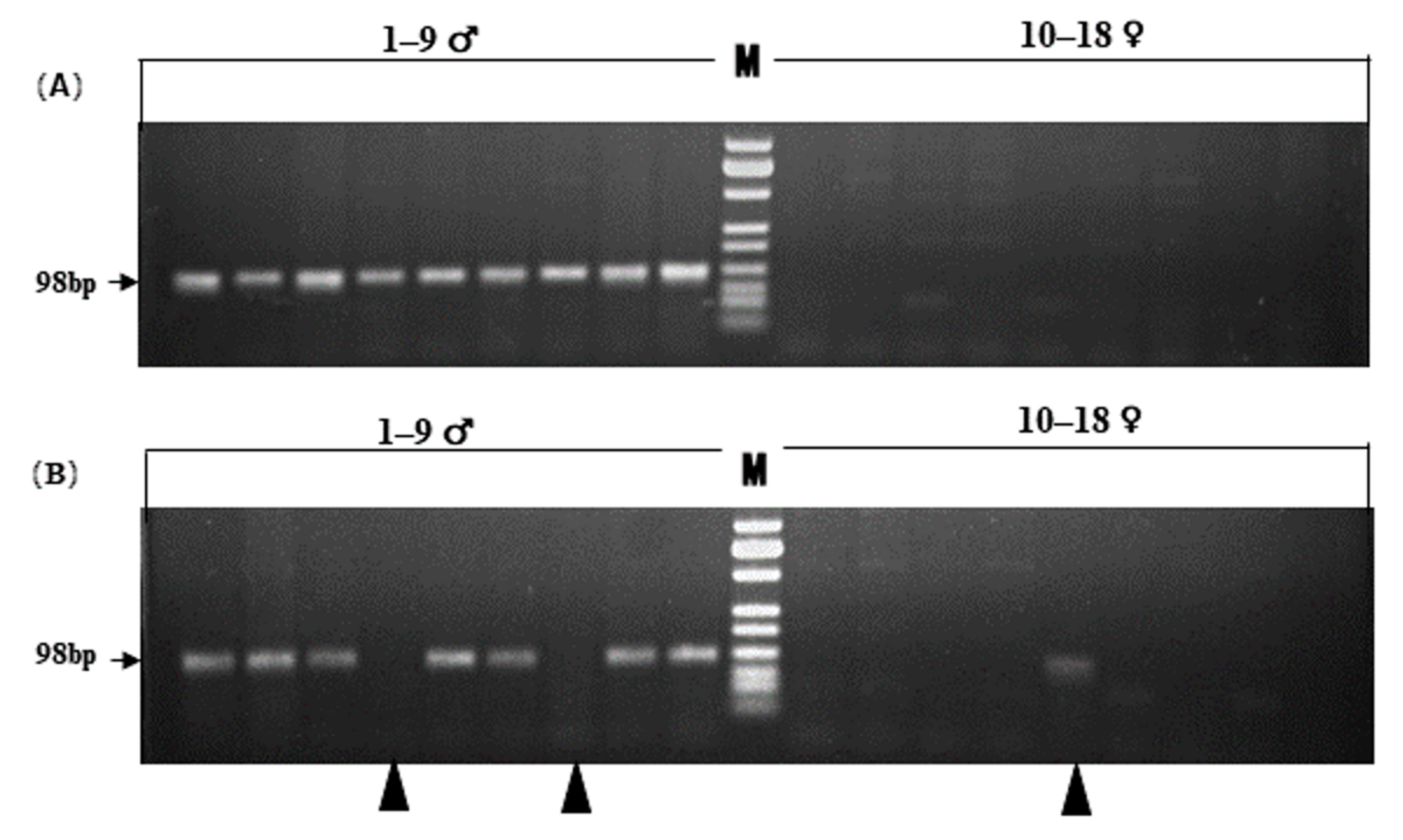 Genes 13 00575 g002
