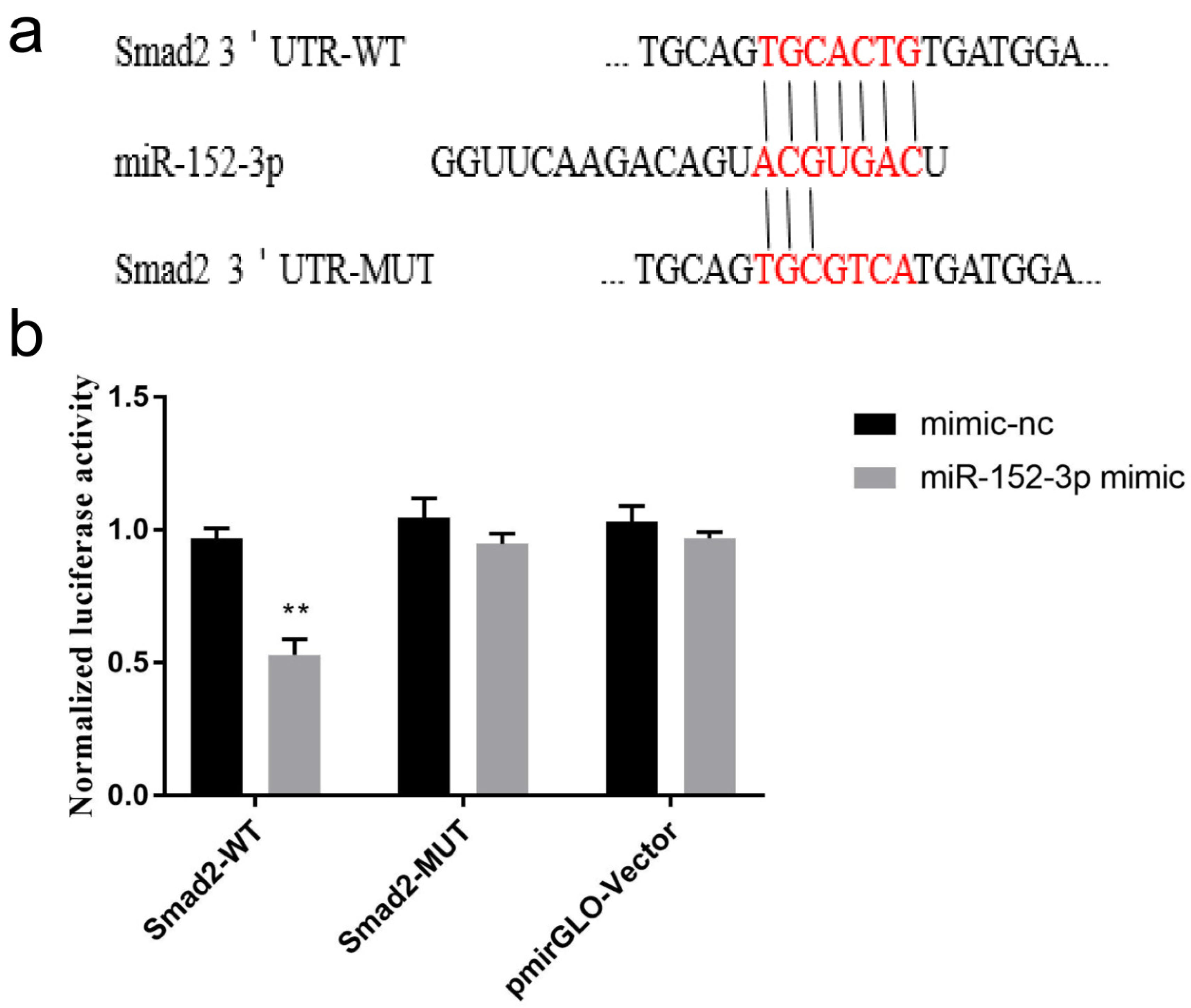 Genes 13 00576 g005