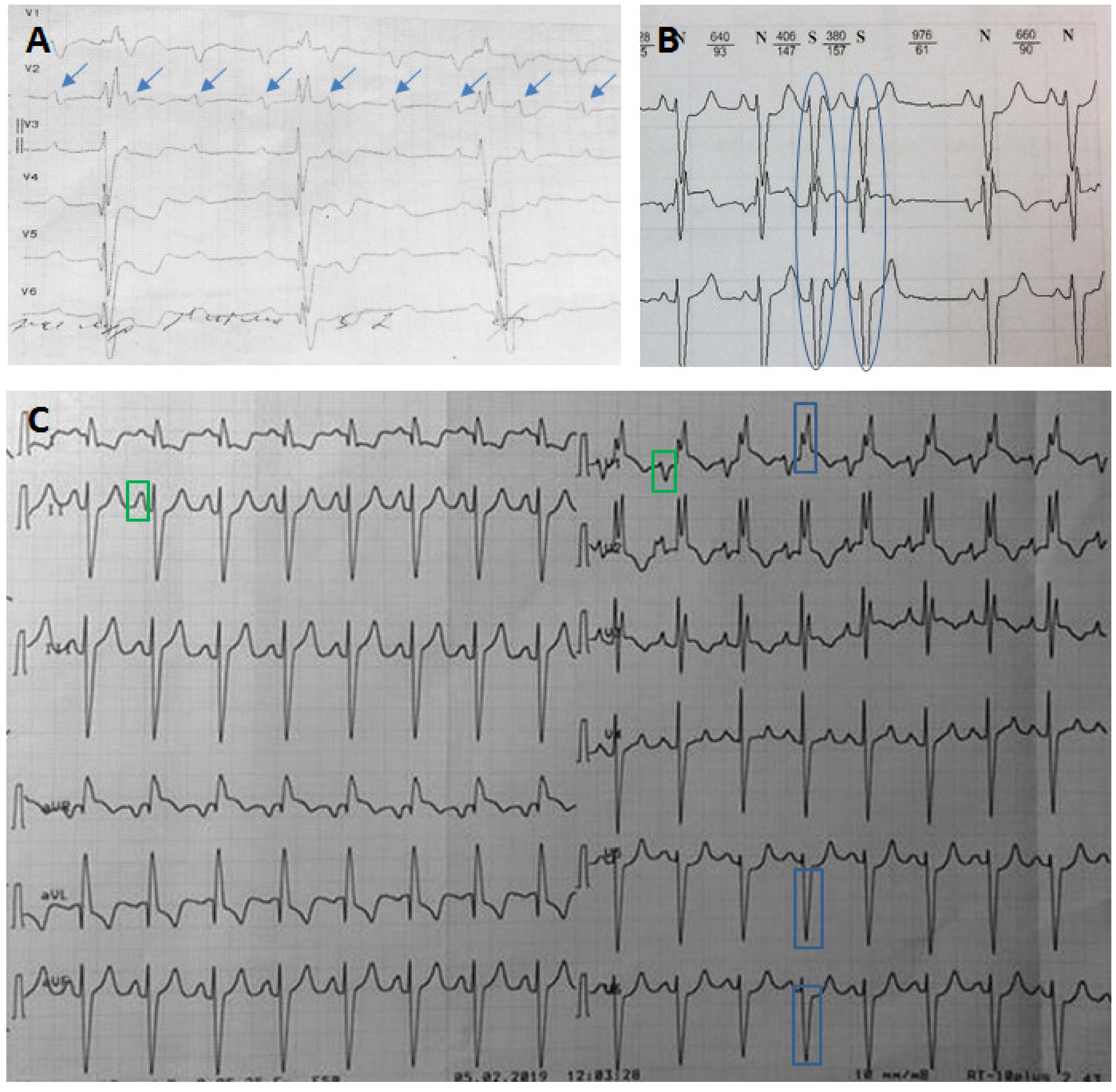 Genes 13 00577 g001 550