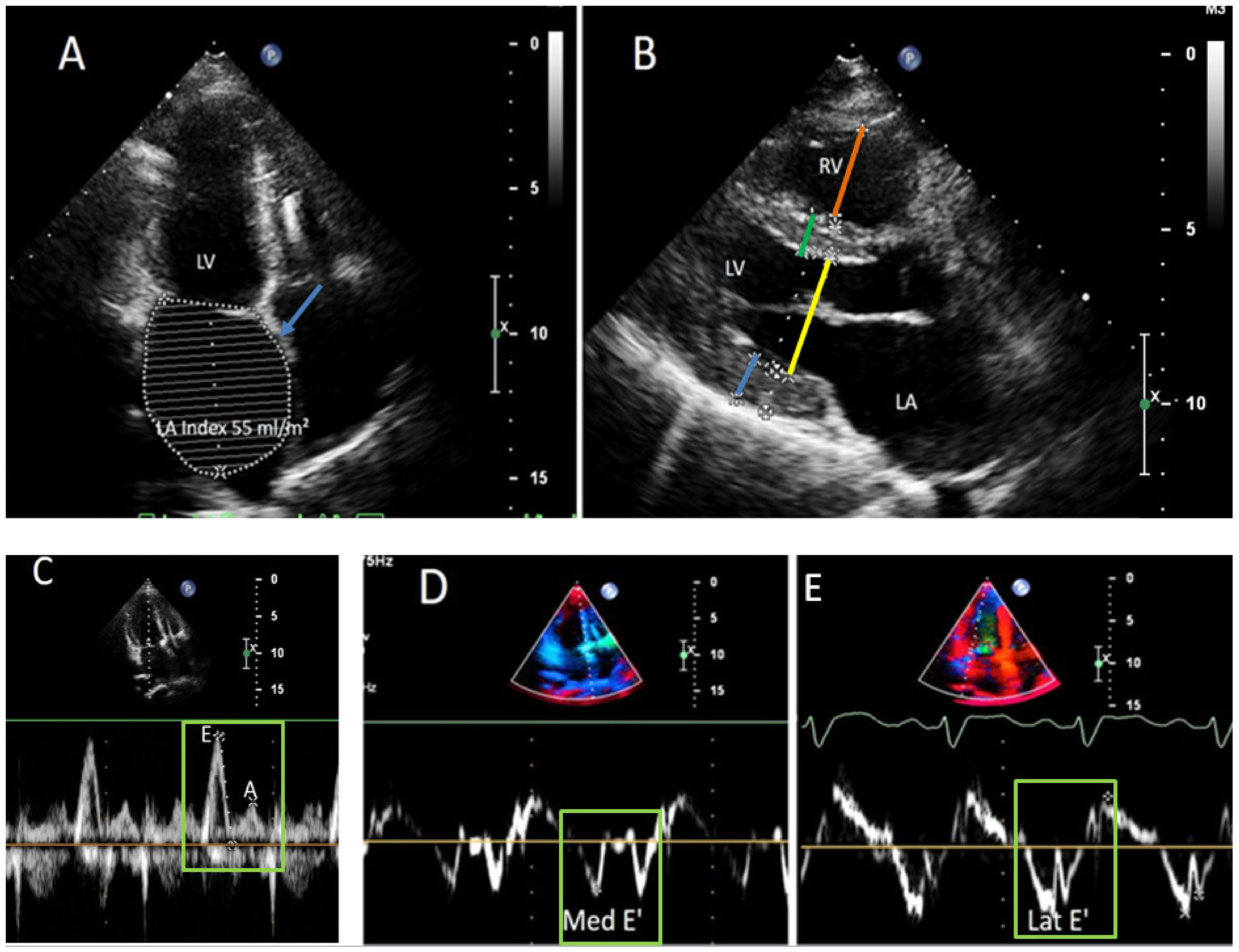 Genes 13 00577 g002 550