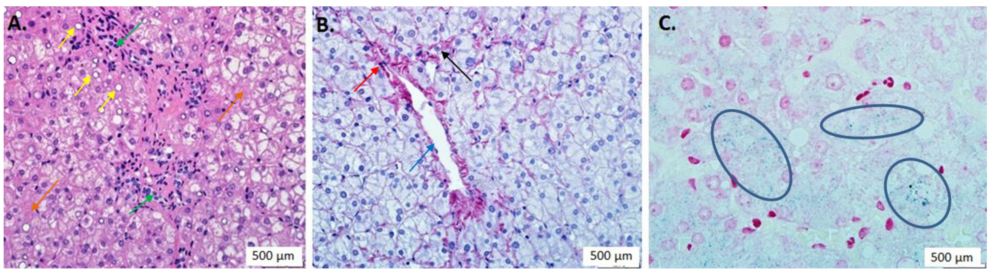 Genes 13 00577 g003 550