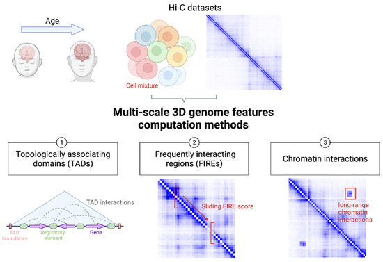 Understanding Regulatory Mechanisms of Brain Function and Disease 