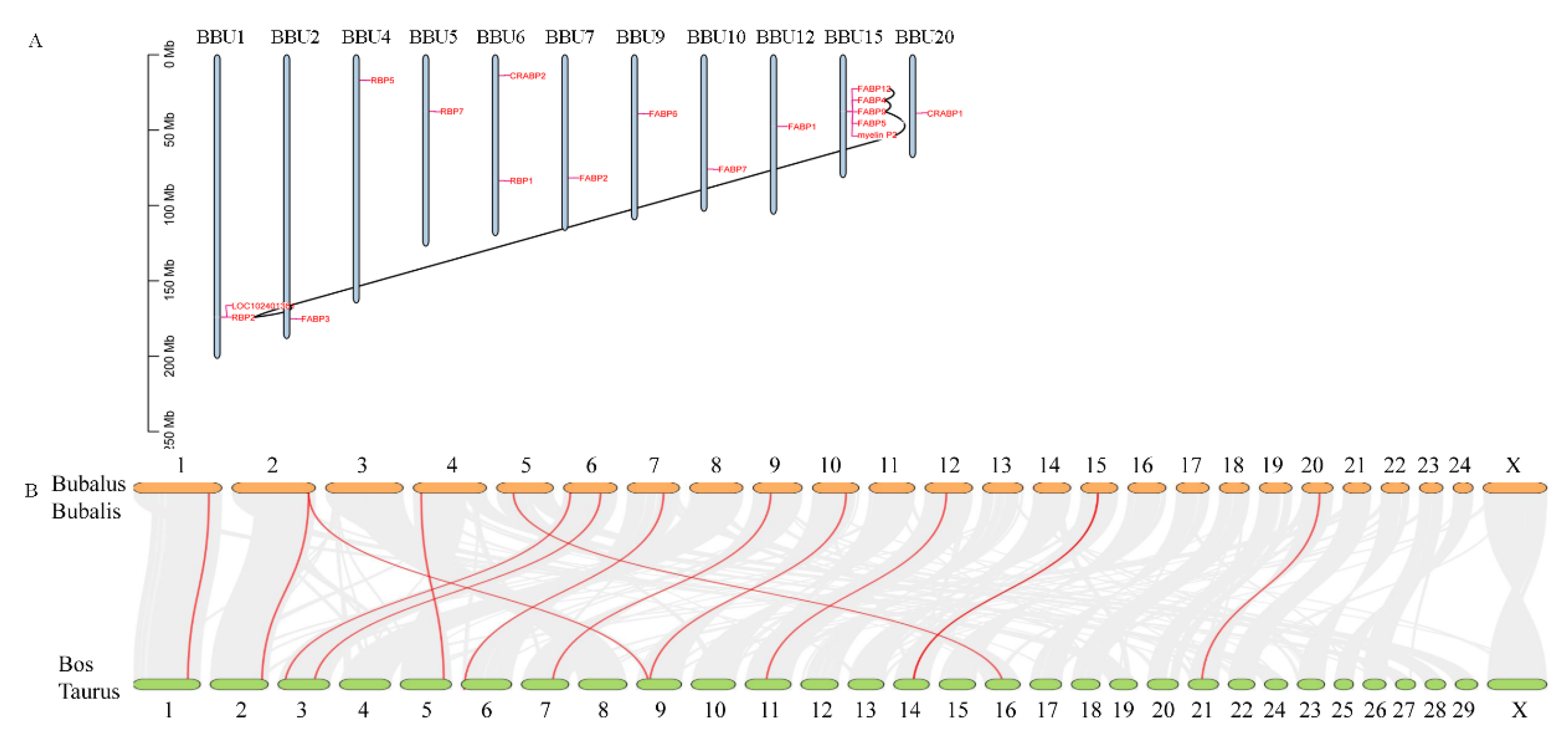 Genes 13 00600 g003 Genes 13 00600 g003