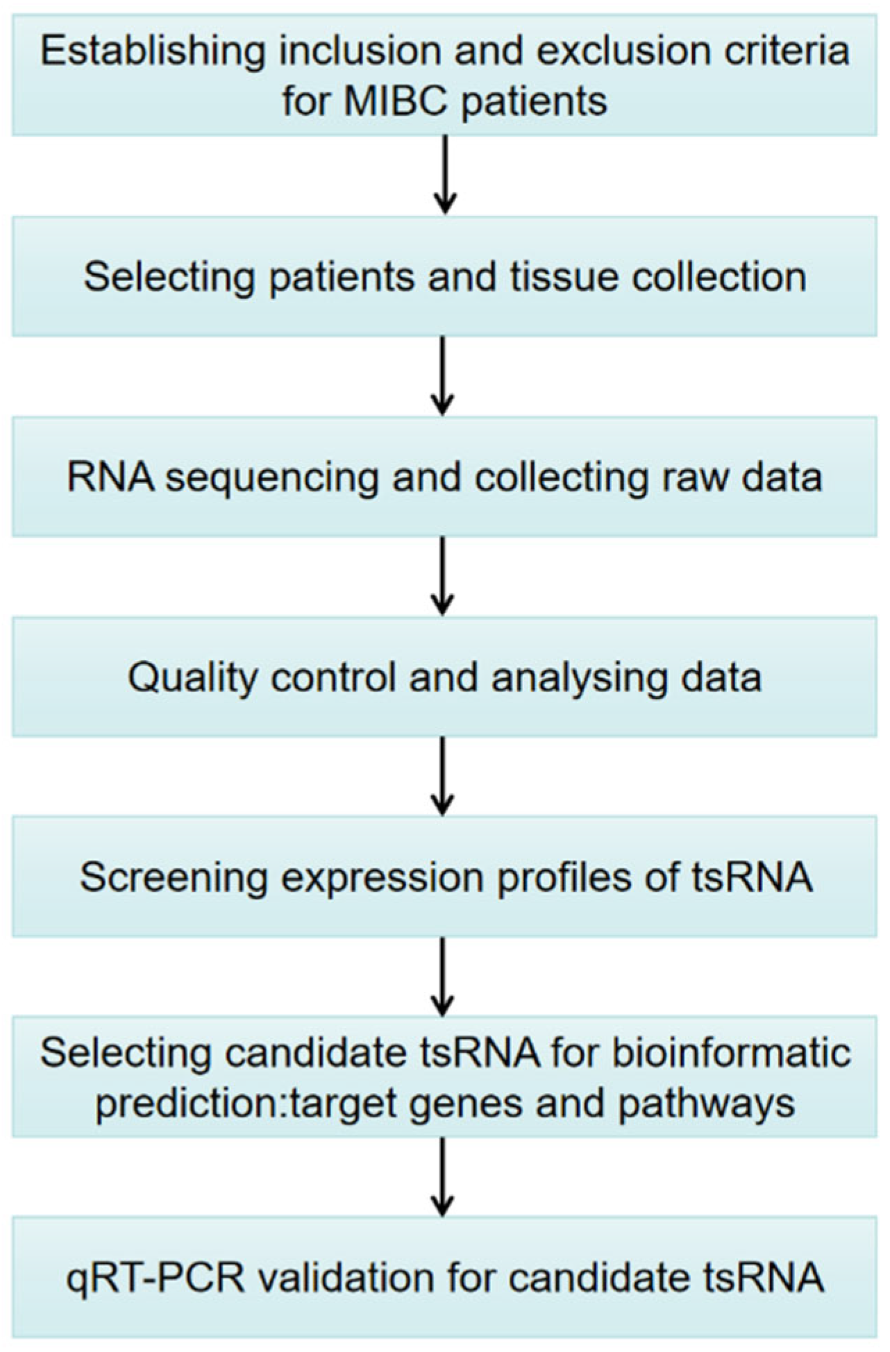 Genes 13 00601 g001 550