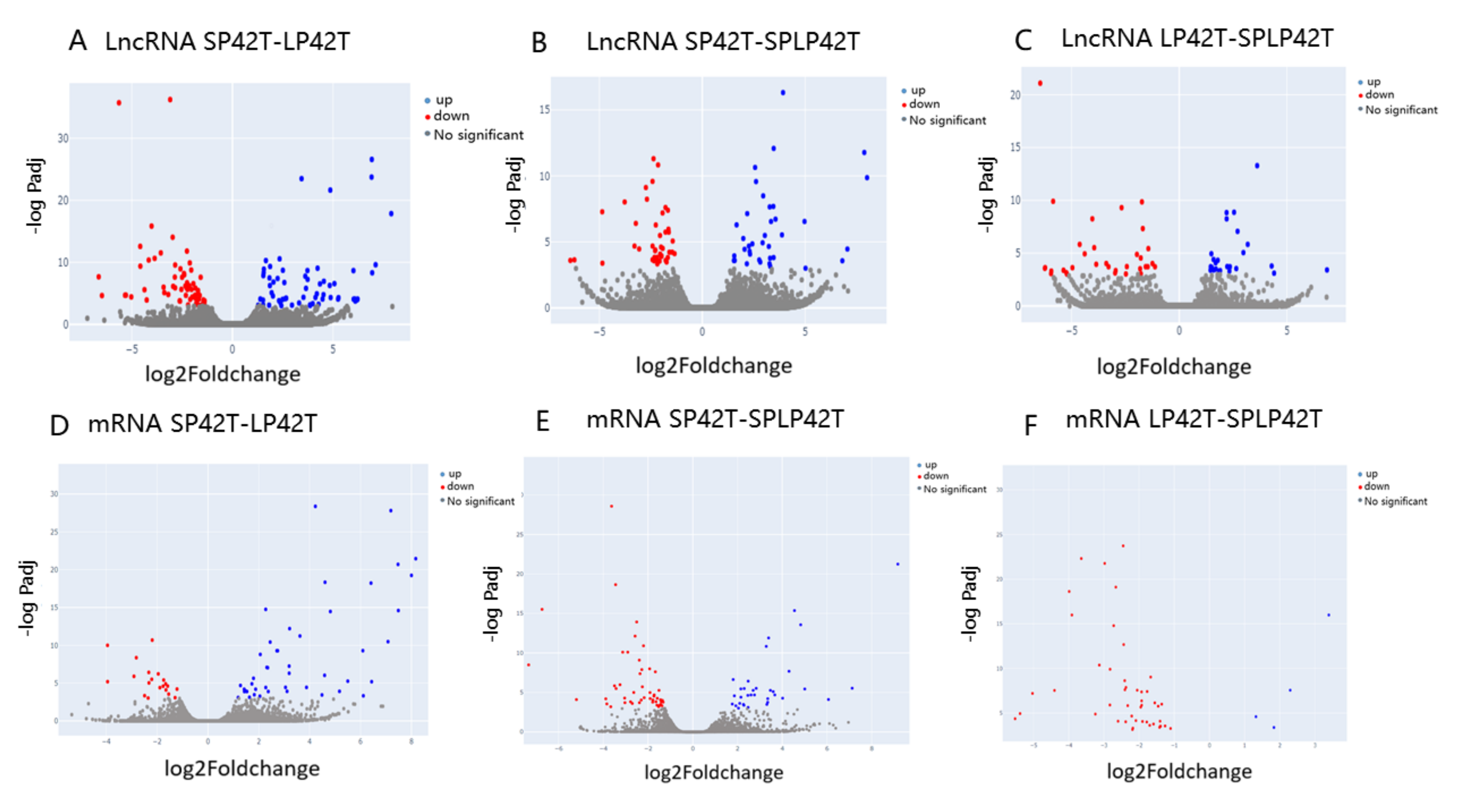 Genes 13 00606 g002 Genes 13 00606 g002