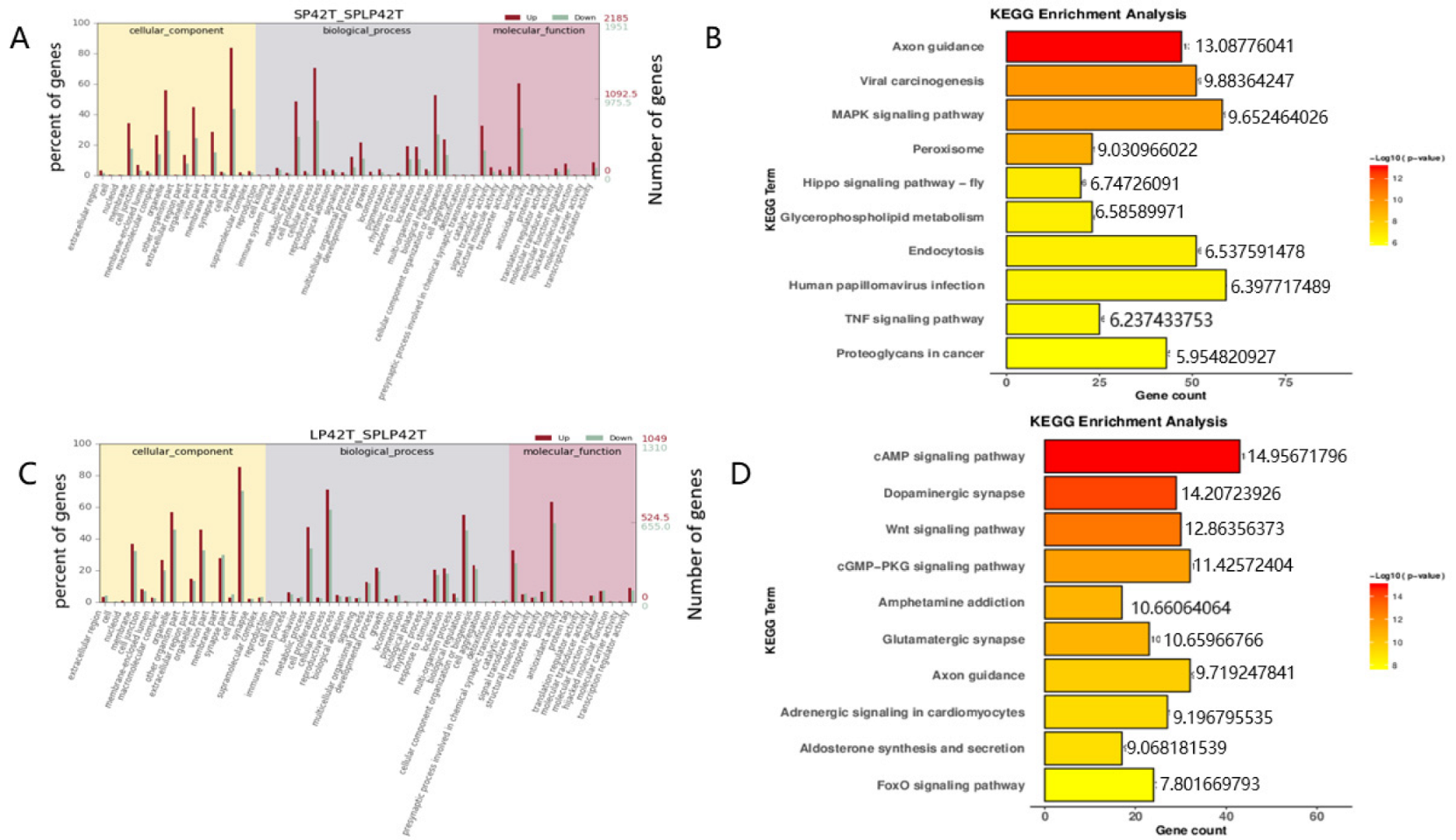 Genes 13 00606 g005 Genes 13 00606 g005