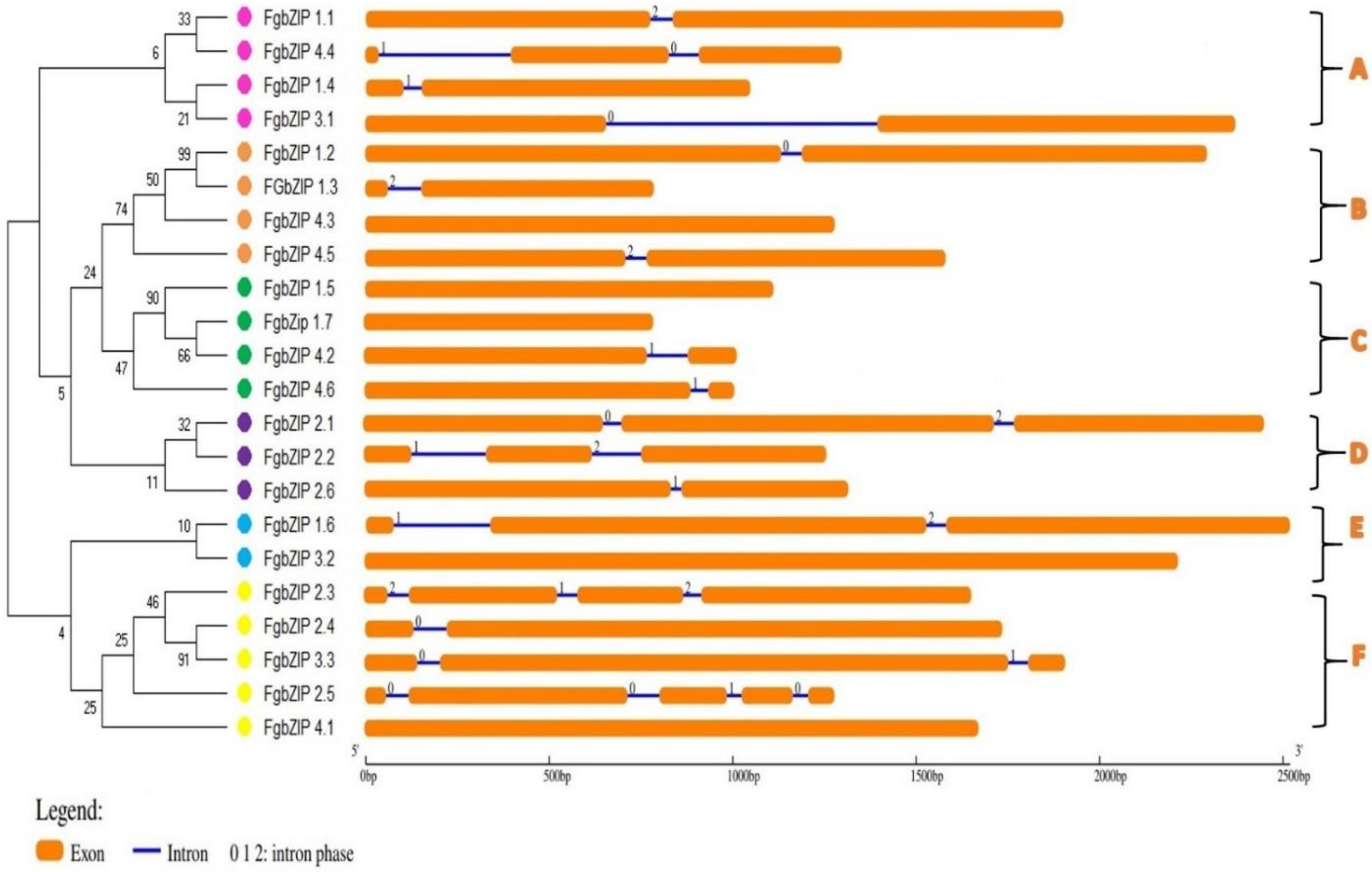 Genes 13 00607 g004 550