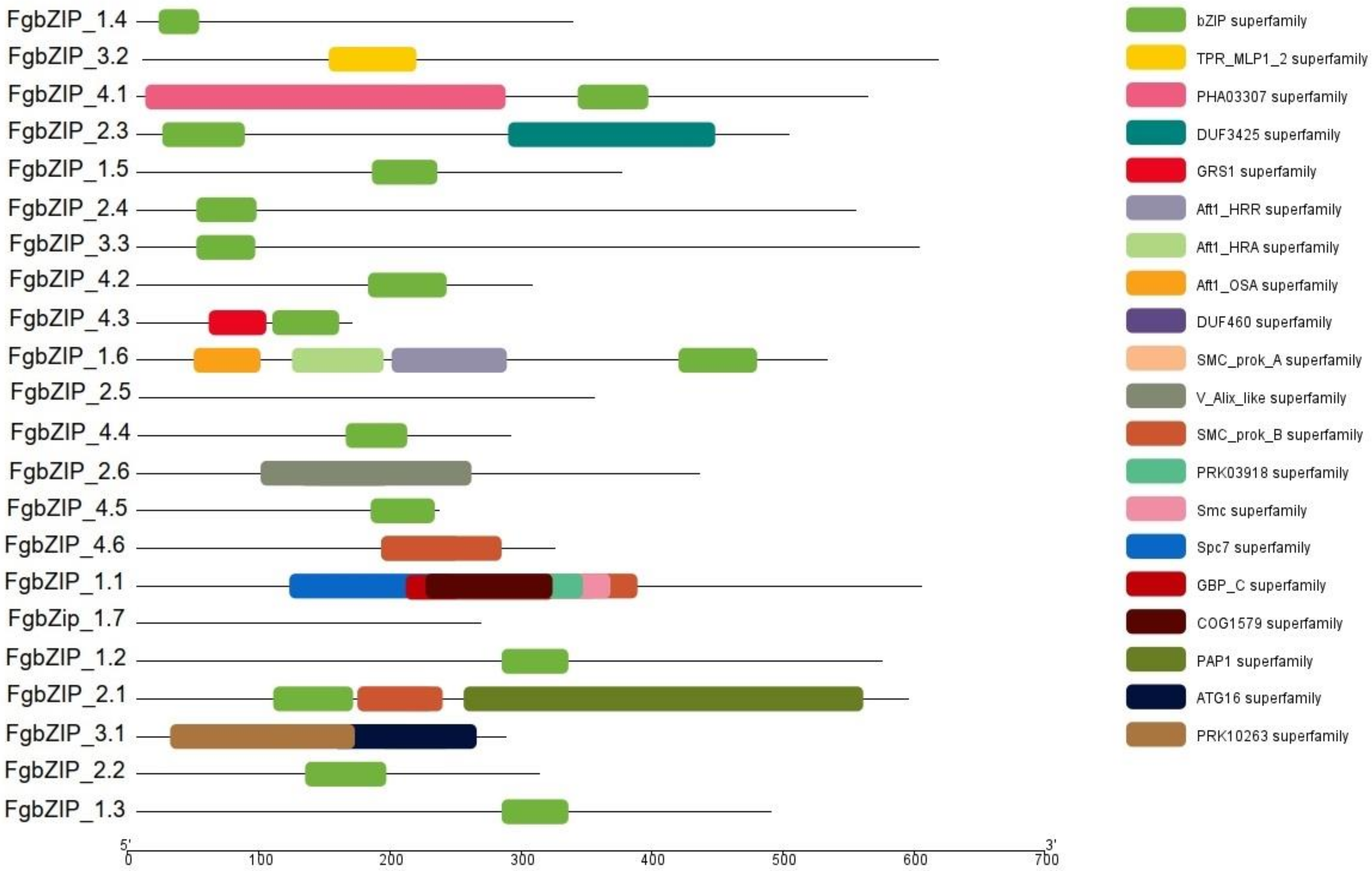 Genes 13 00607 g005 550