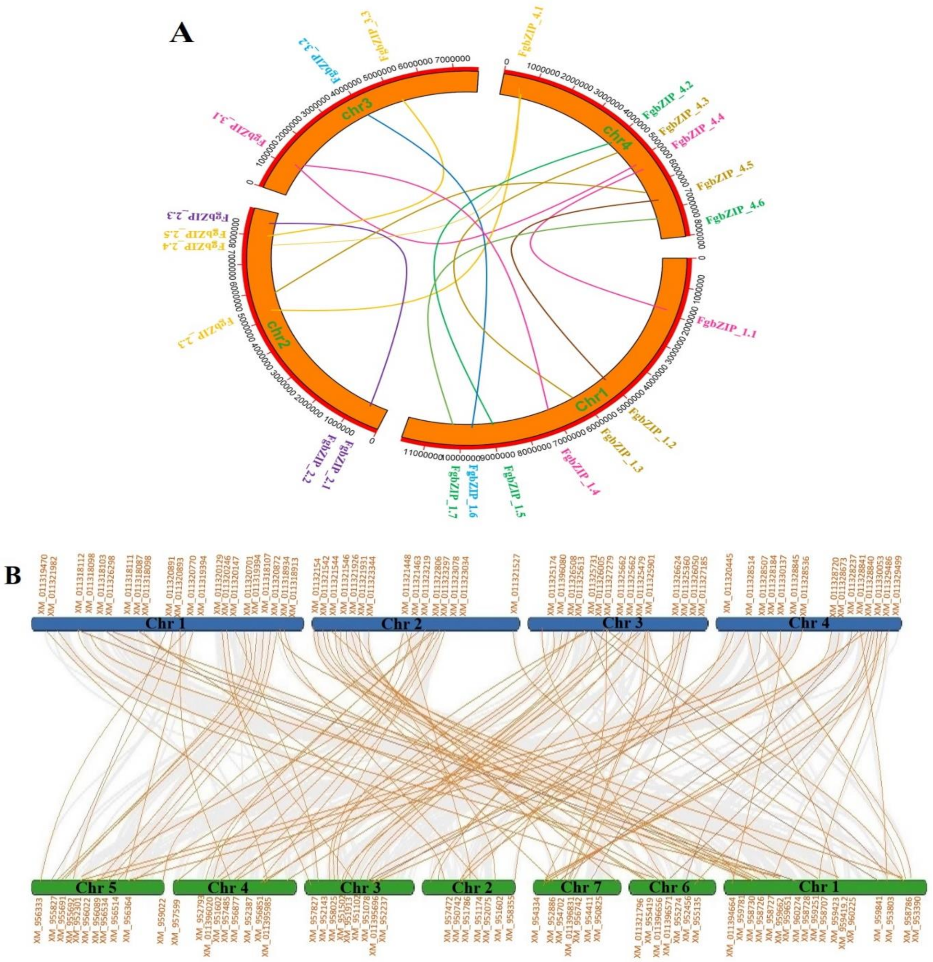 Genes 13 00607 g009 550