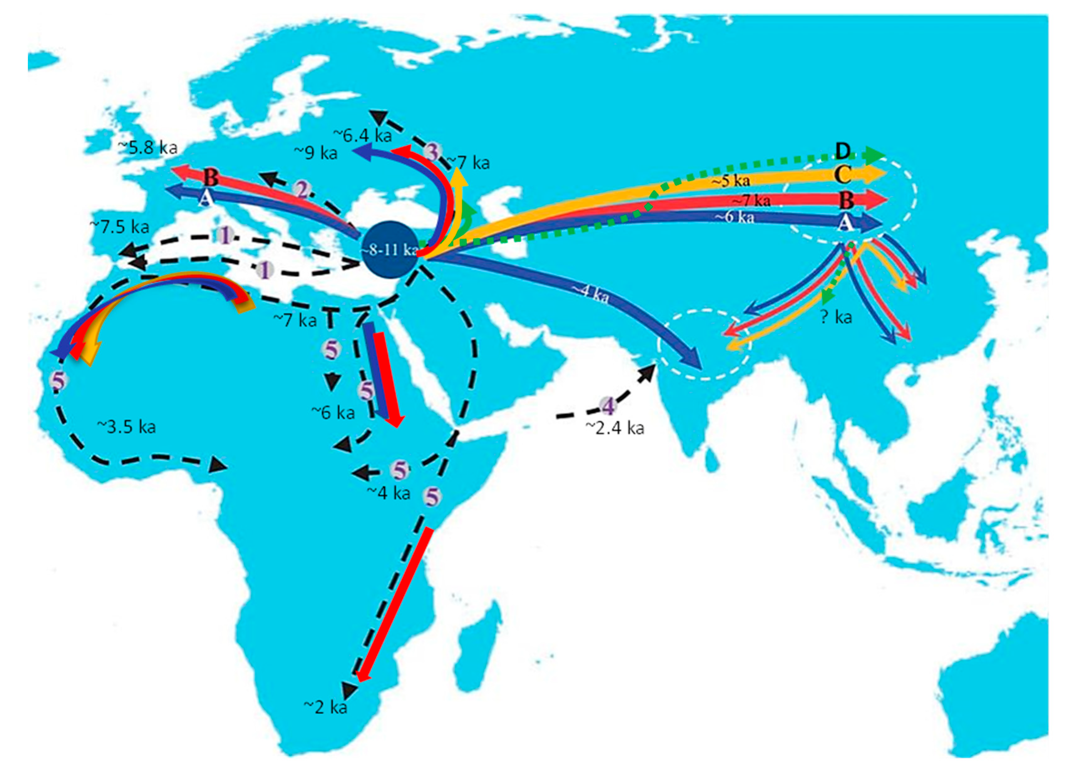 Genes 13 00613 g002 Genes 13 00613 g002