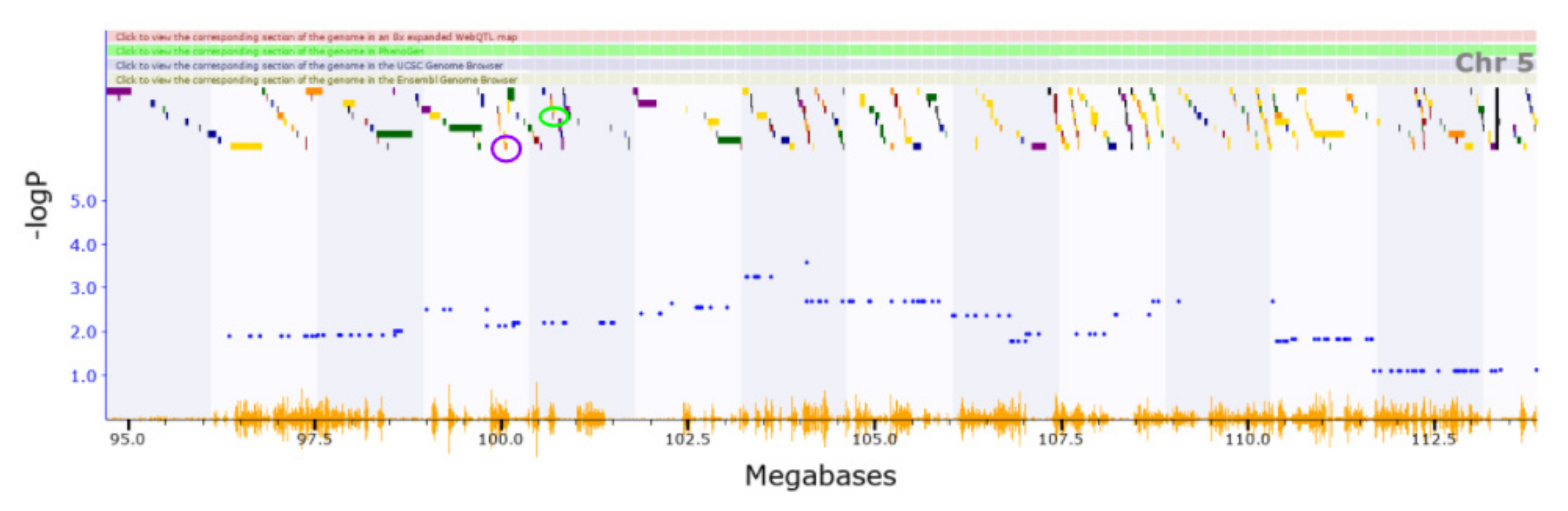 Genes 13 00614 g003 Genes 13 00614 g003