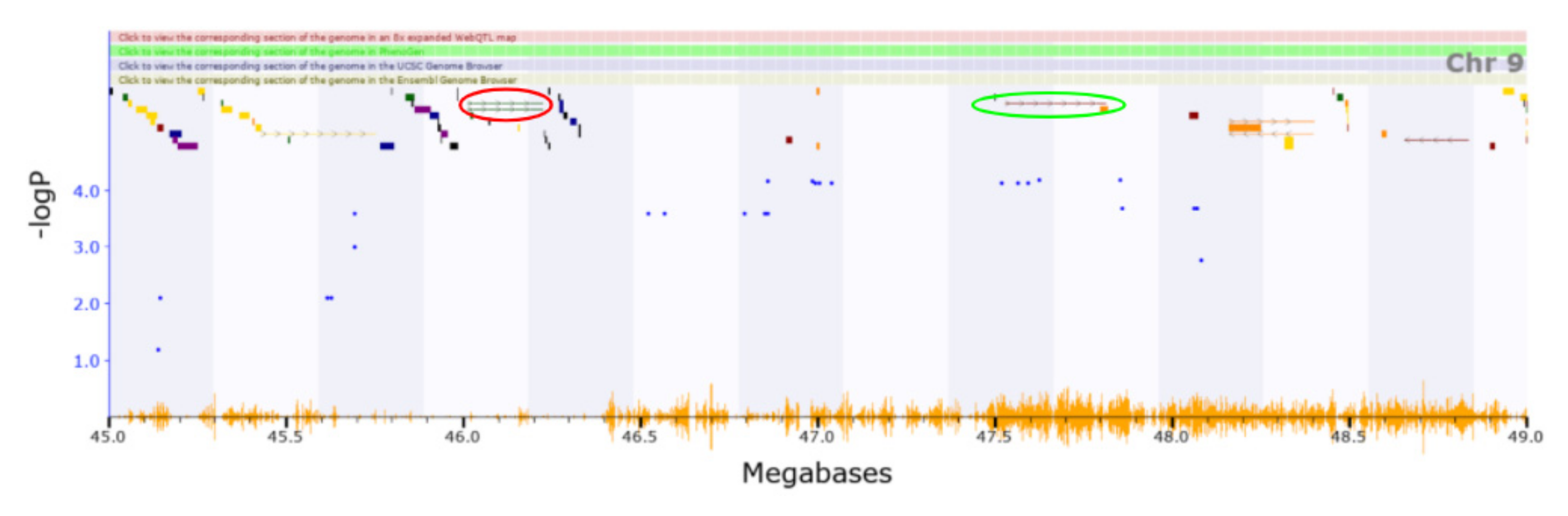 Genes 13 00614 g004 Genes 13 00614 g004