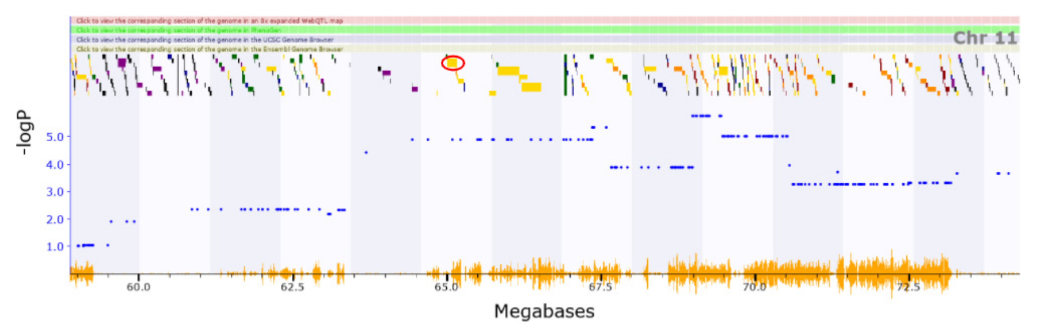Genes 13 00614 g005 Genes 13 00614 g005