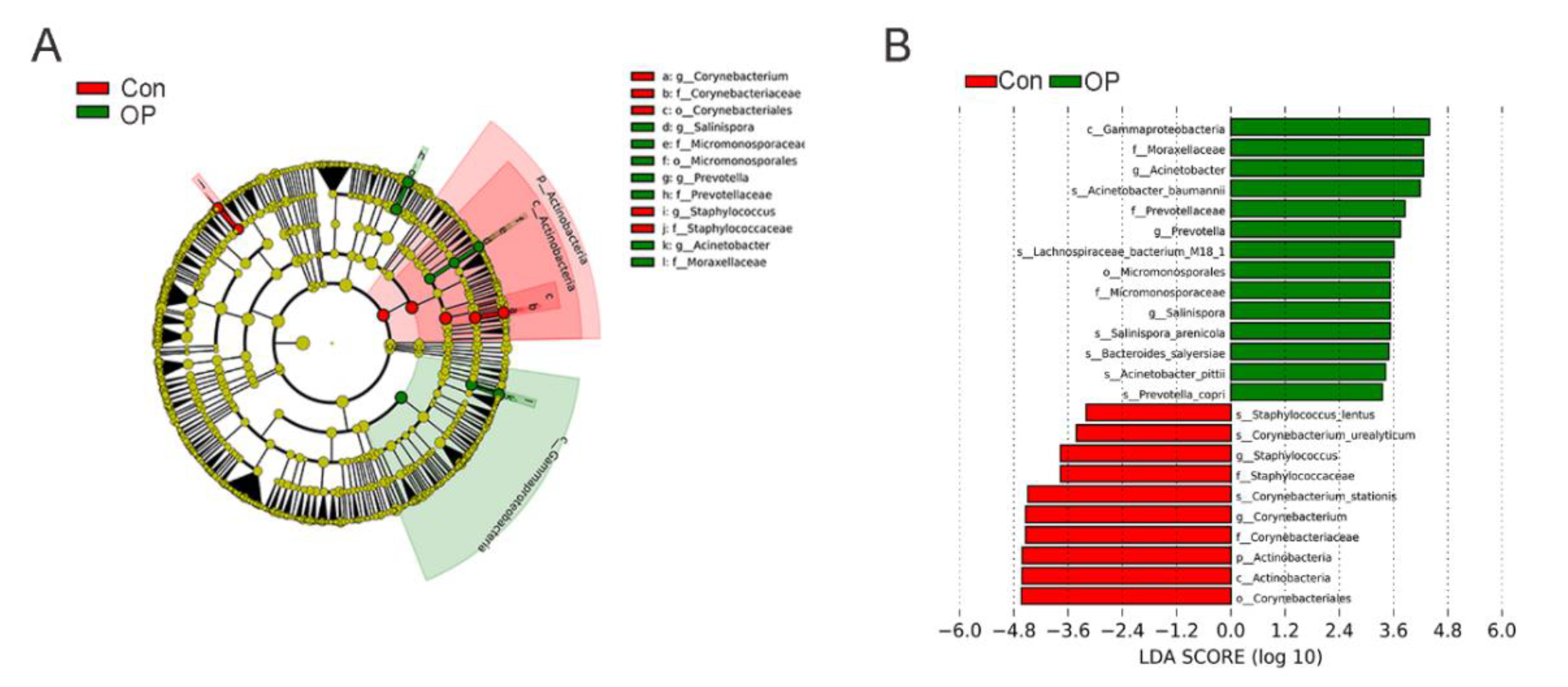 Genes 13 00619 g005