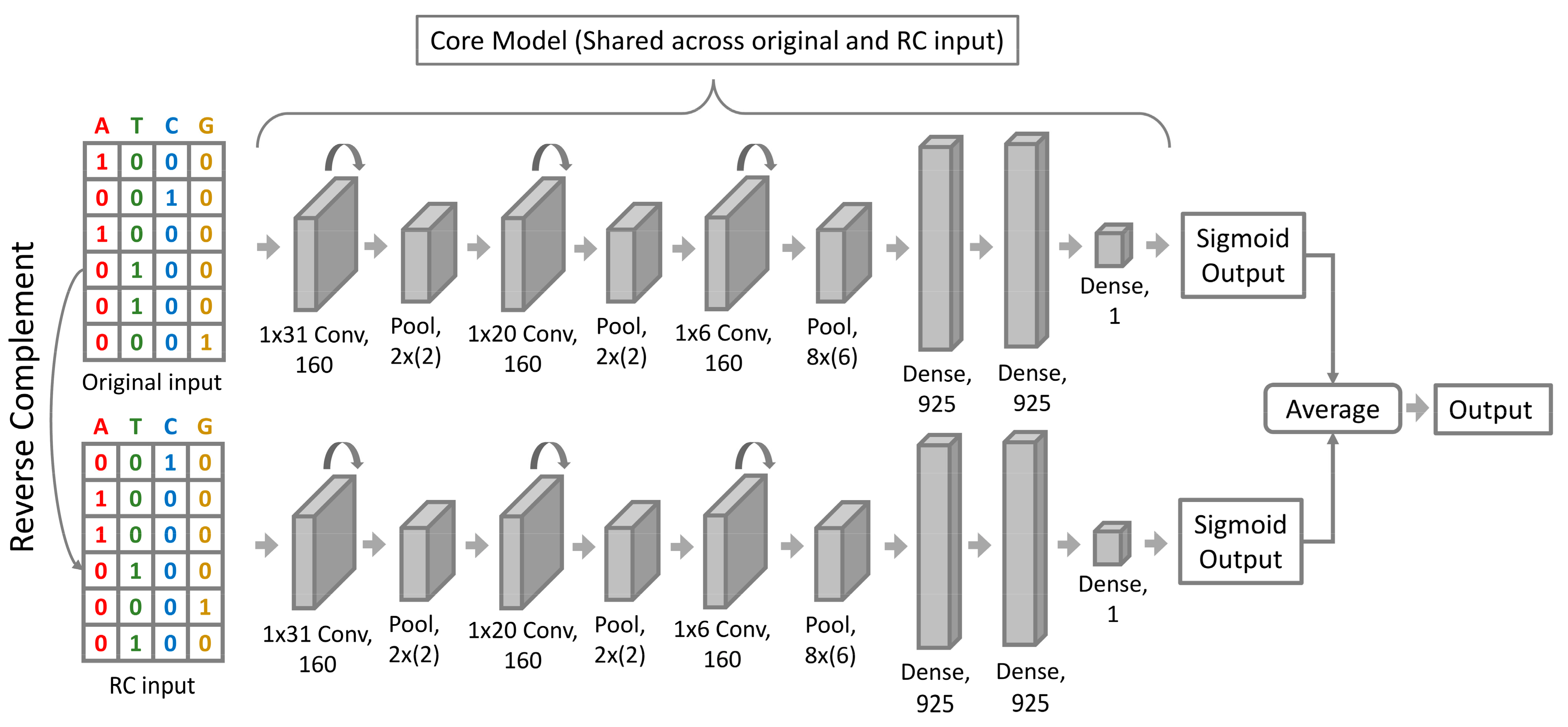 Genes 13 00621 g002 550