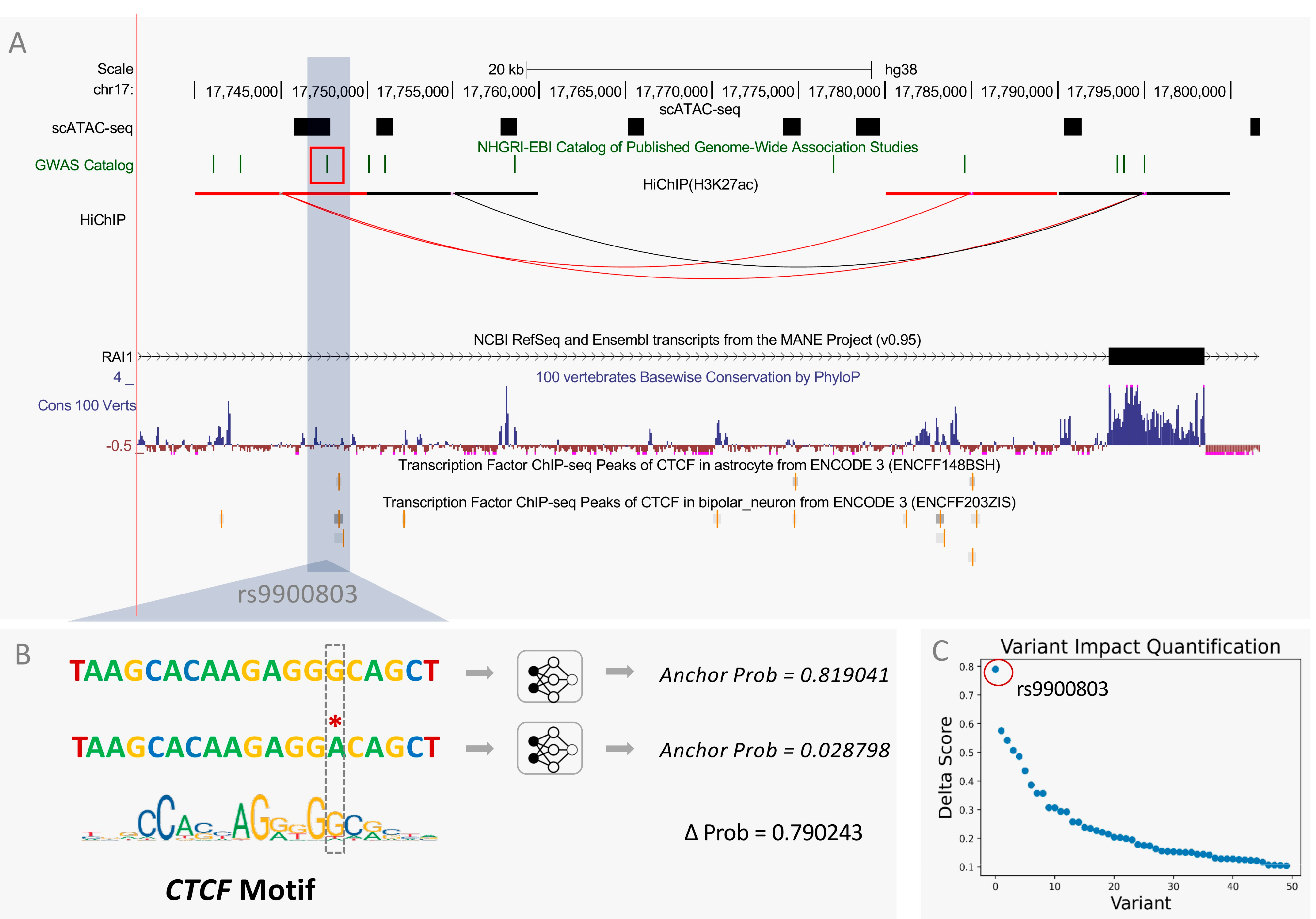 Genes 13 00621 g006 550