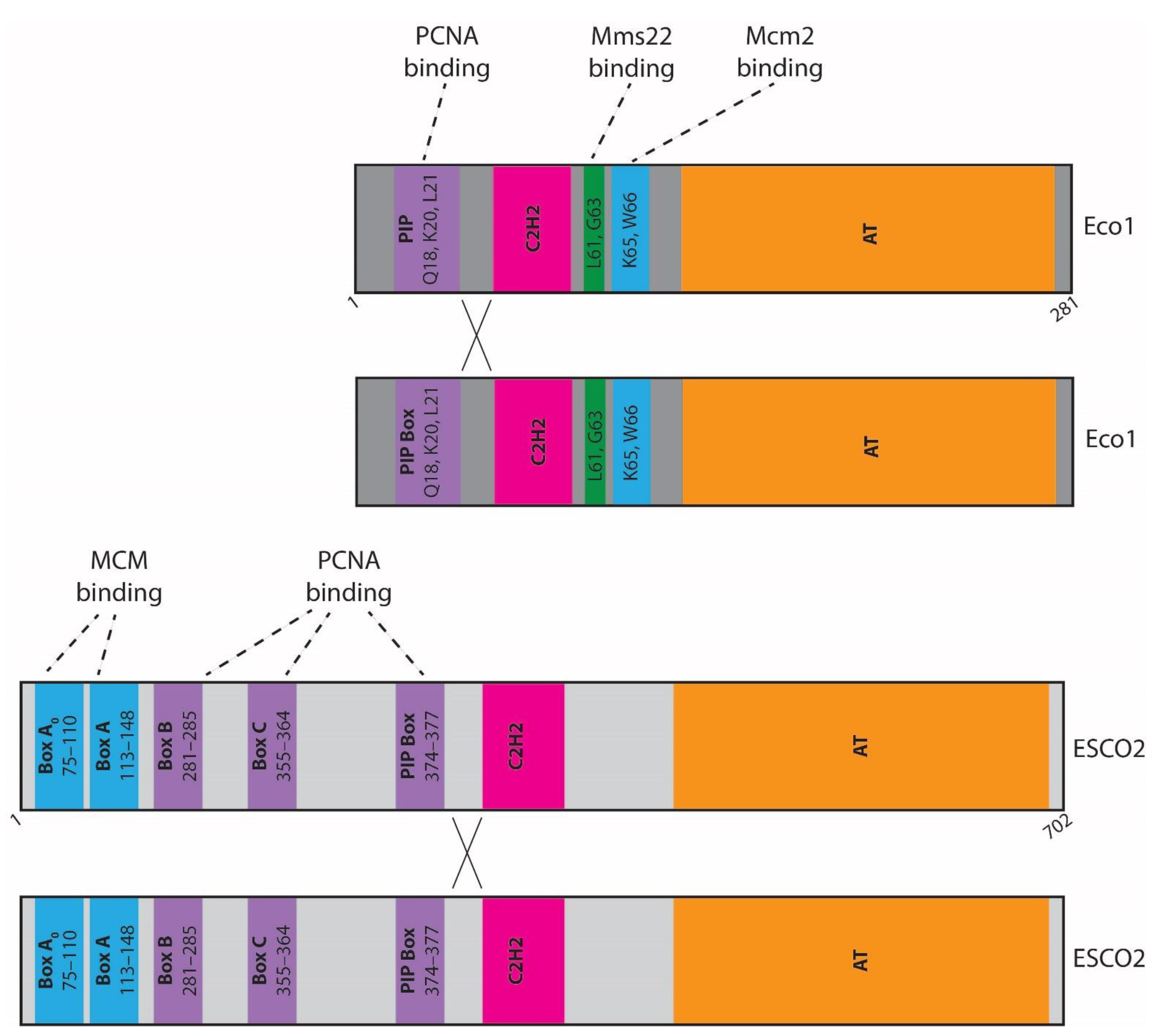 Genes 13 00625 g001 550