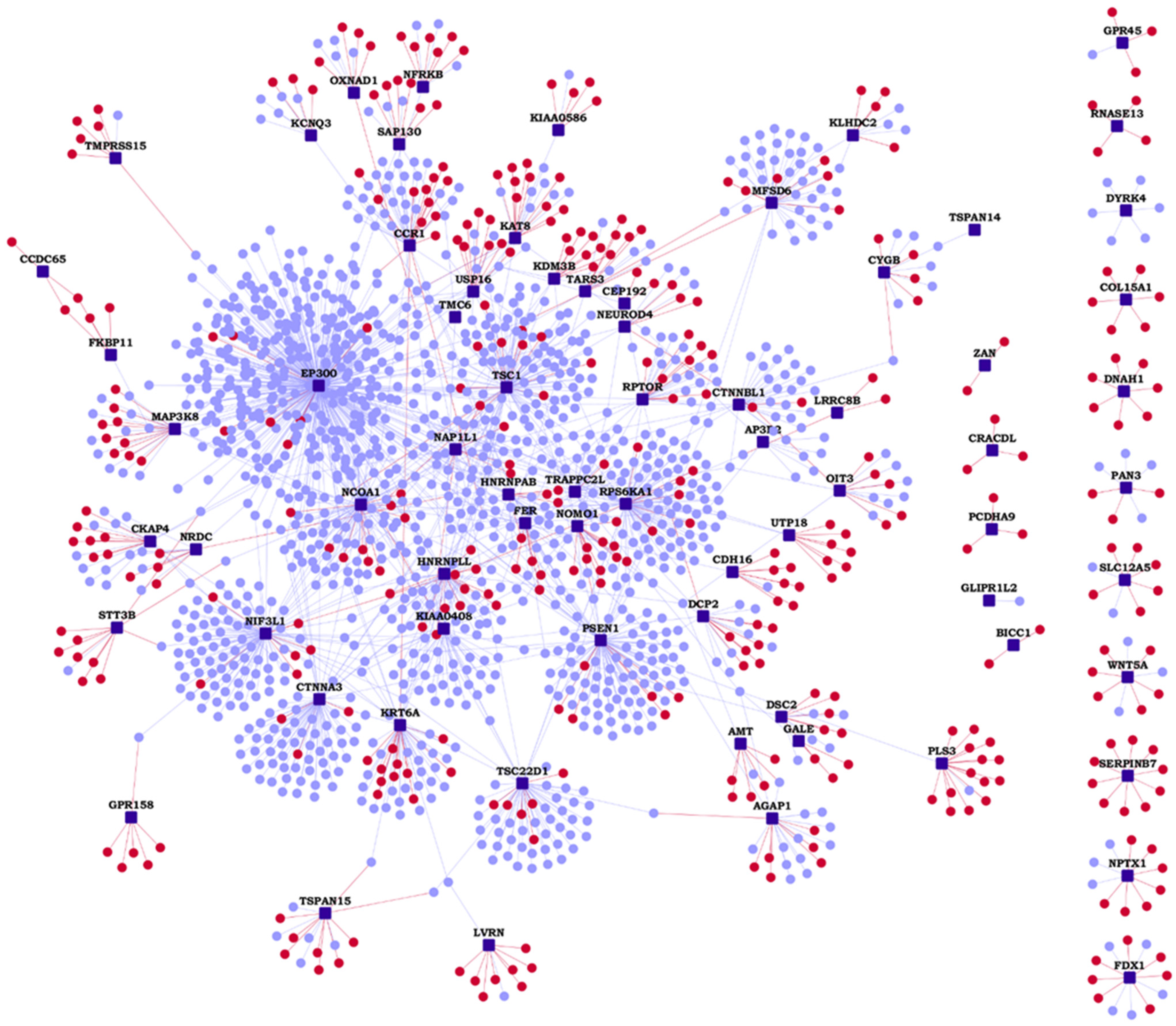 Genes 13 00627 g001 Genes 13 00627 g001