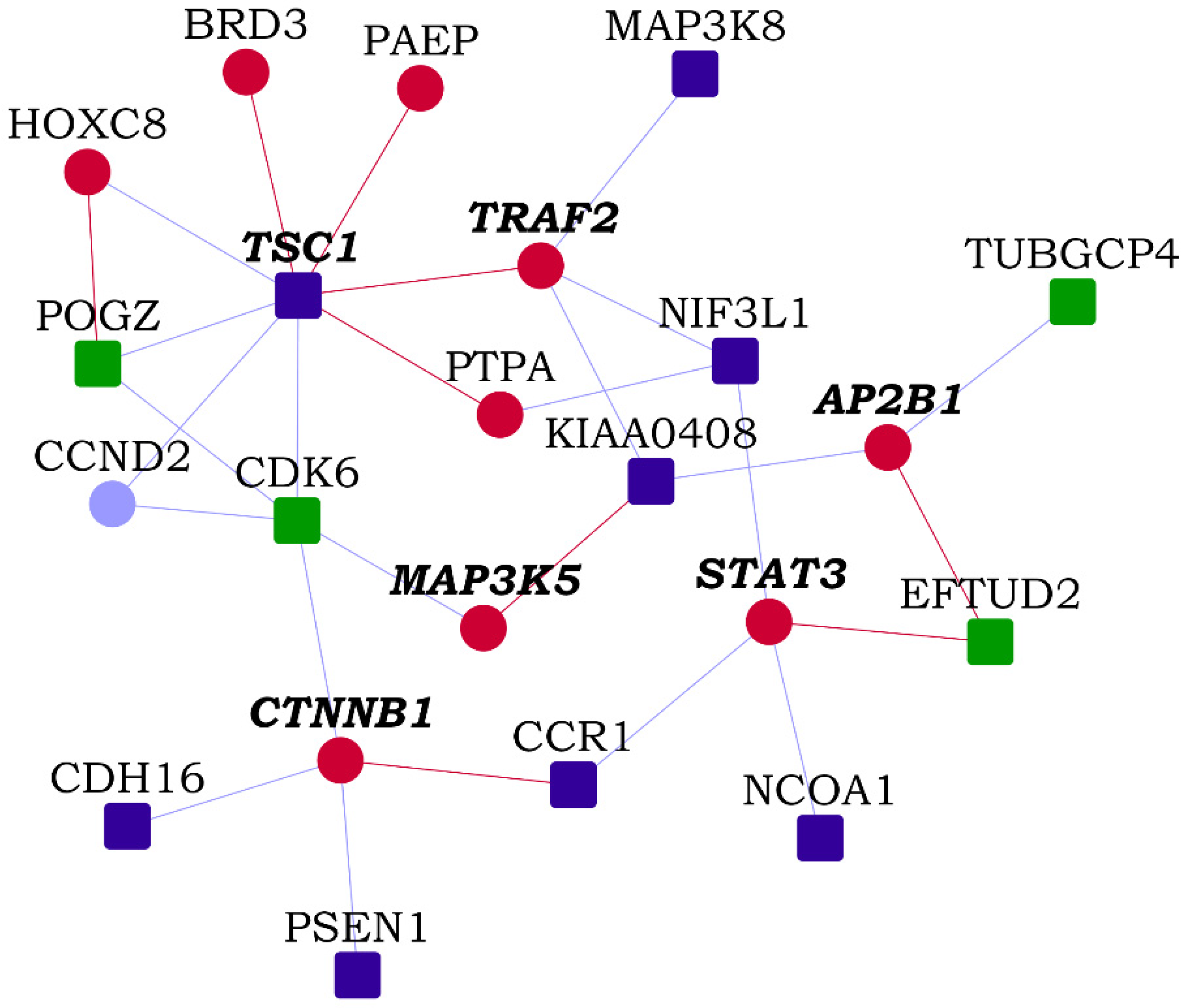 Genes 13 00627 g009 Genes 13 00627 g009