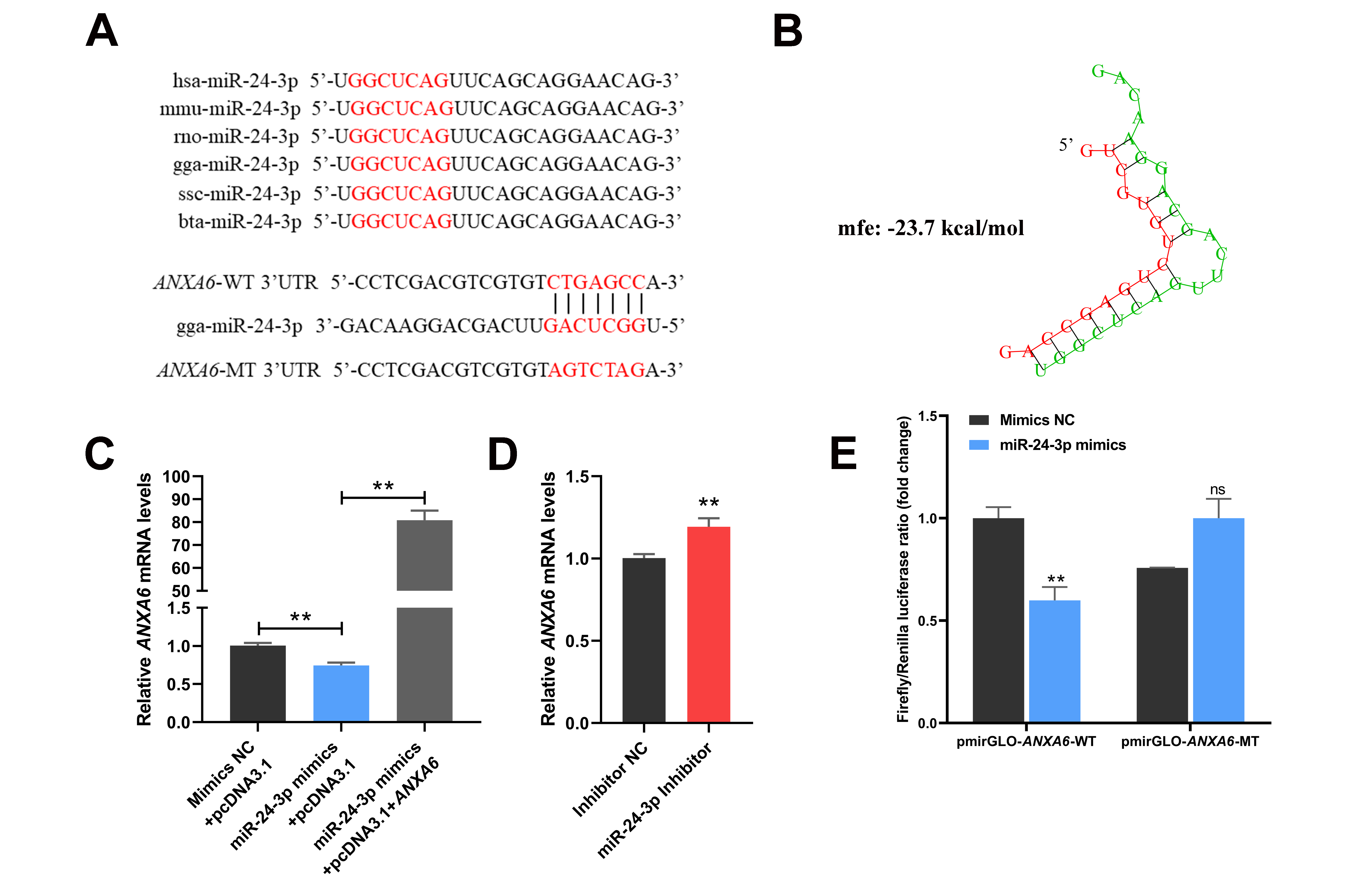 Genes 13 00635 g004