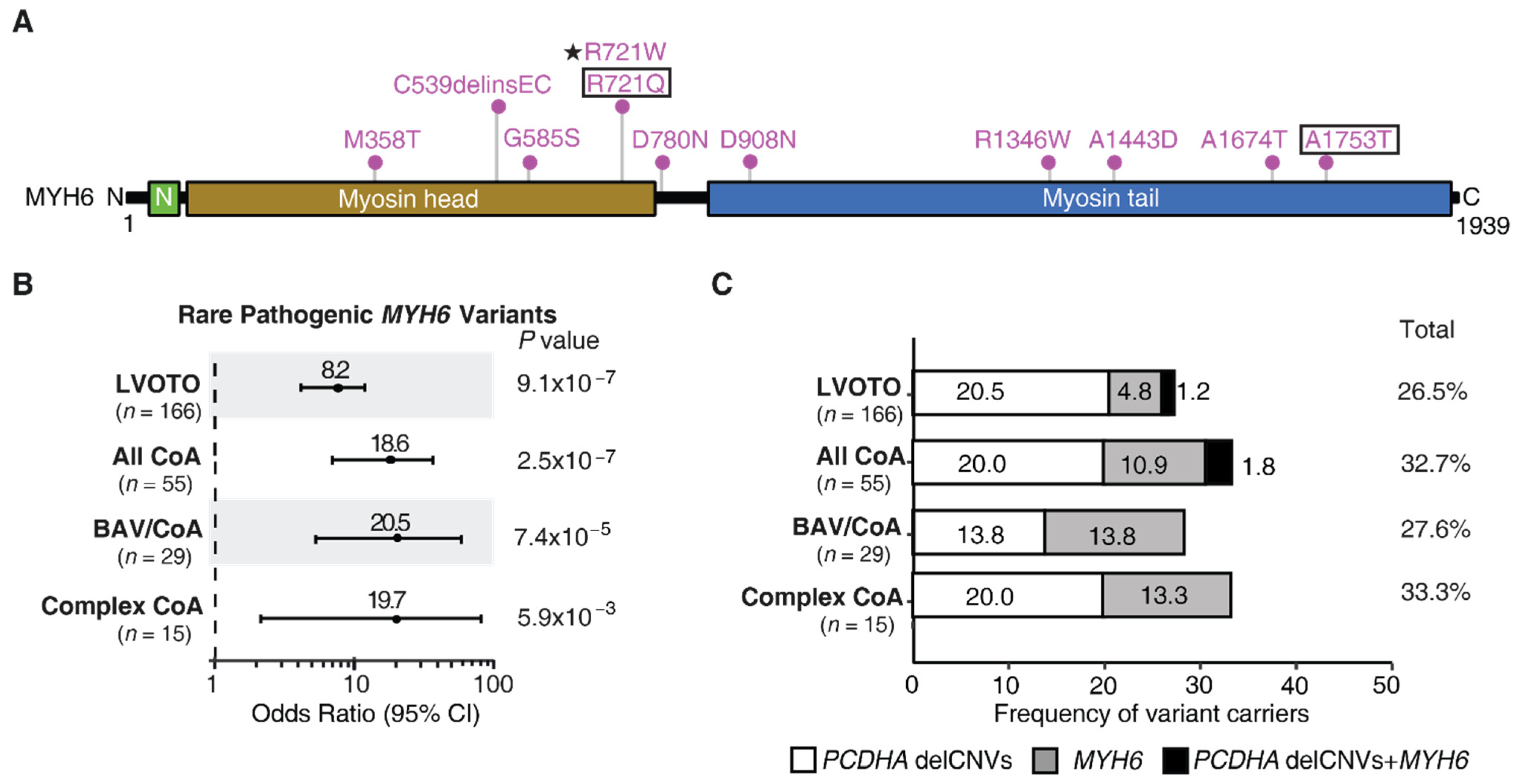 Genes 13 00636 g001