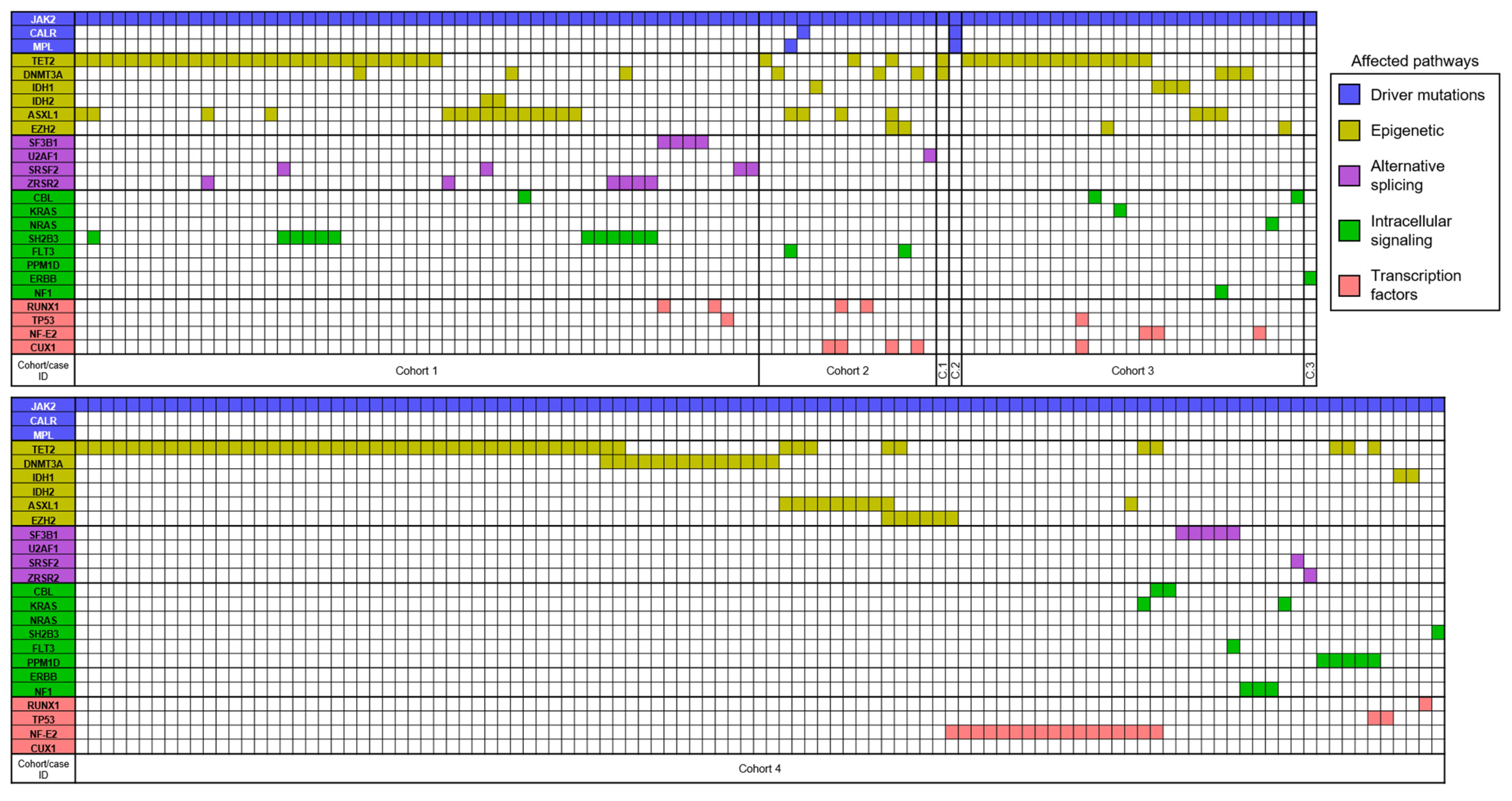 Genes 13 00637 g002 Genes 13 00637 g002