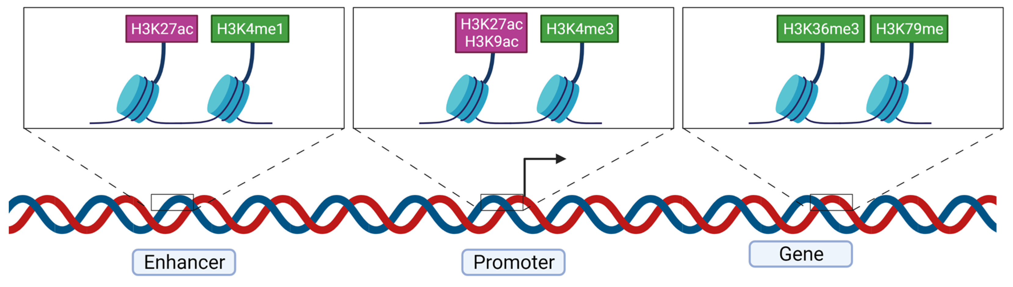 Genes 13 00639 g005 Genes 13 00639 g005