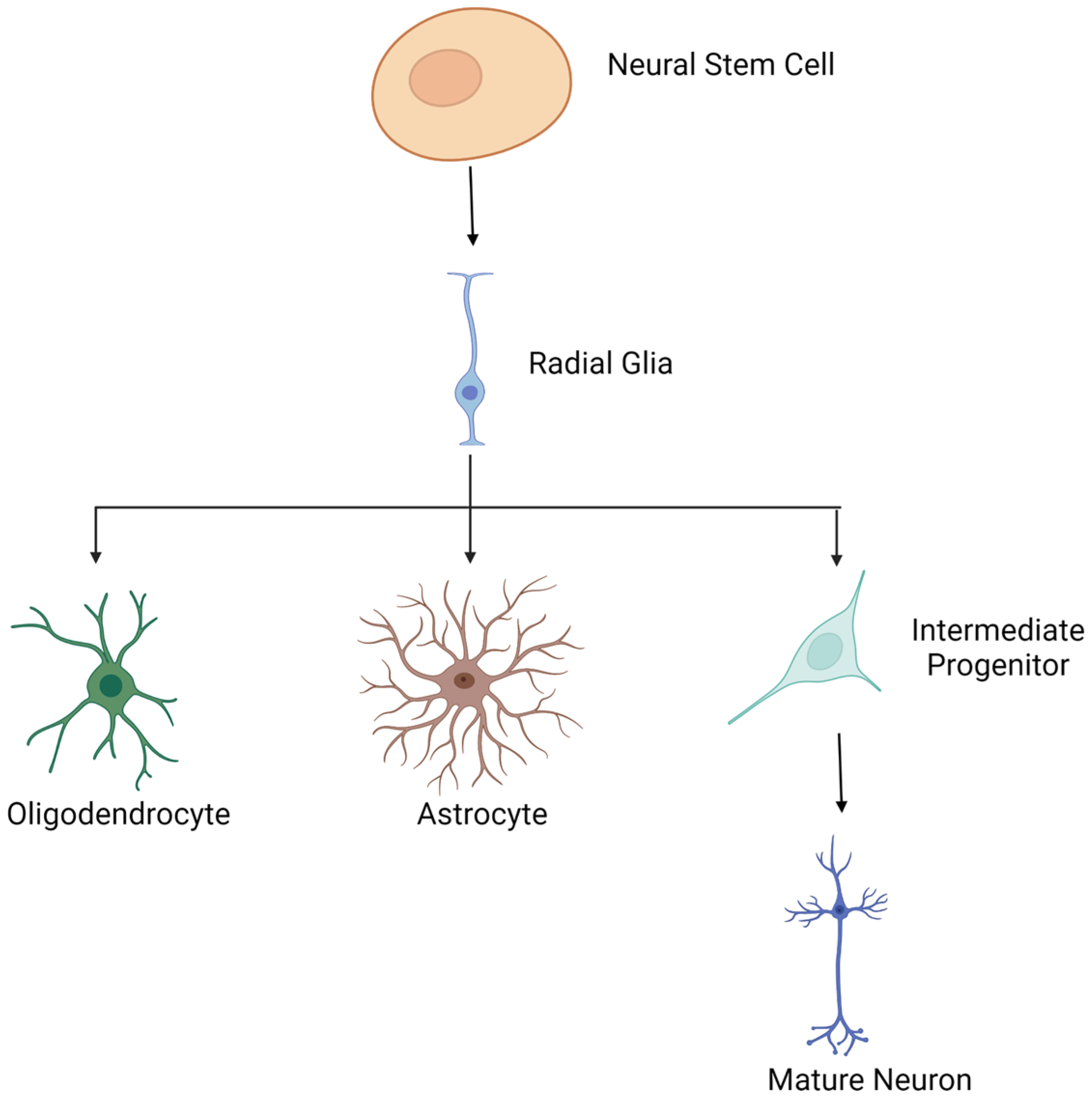Genes 13 00639 g006 Genes 13 00639 g006