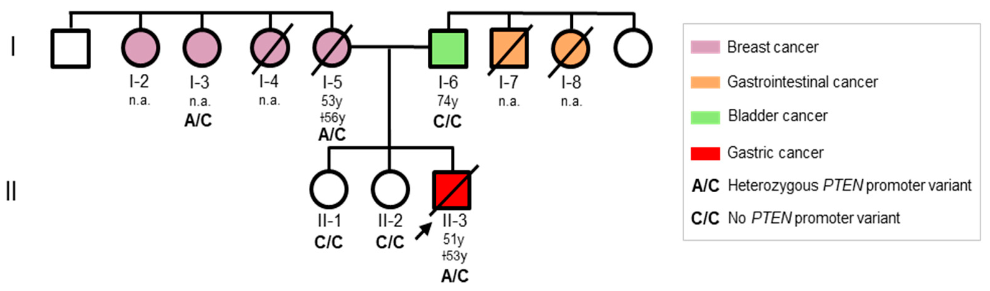 Genes 13 00644 g001