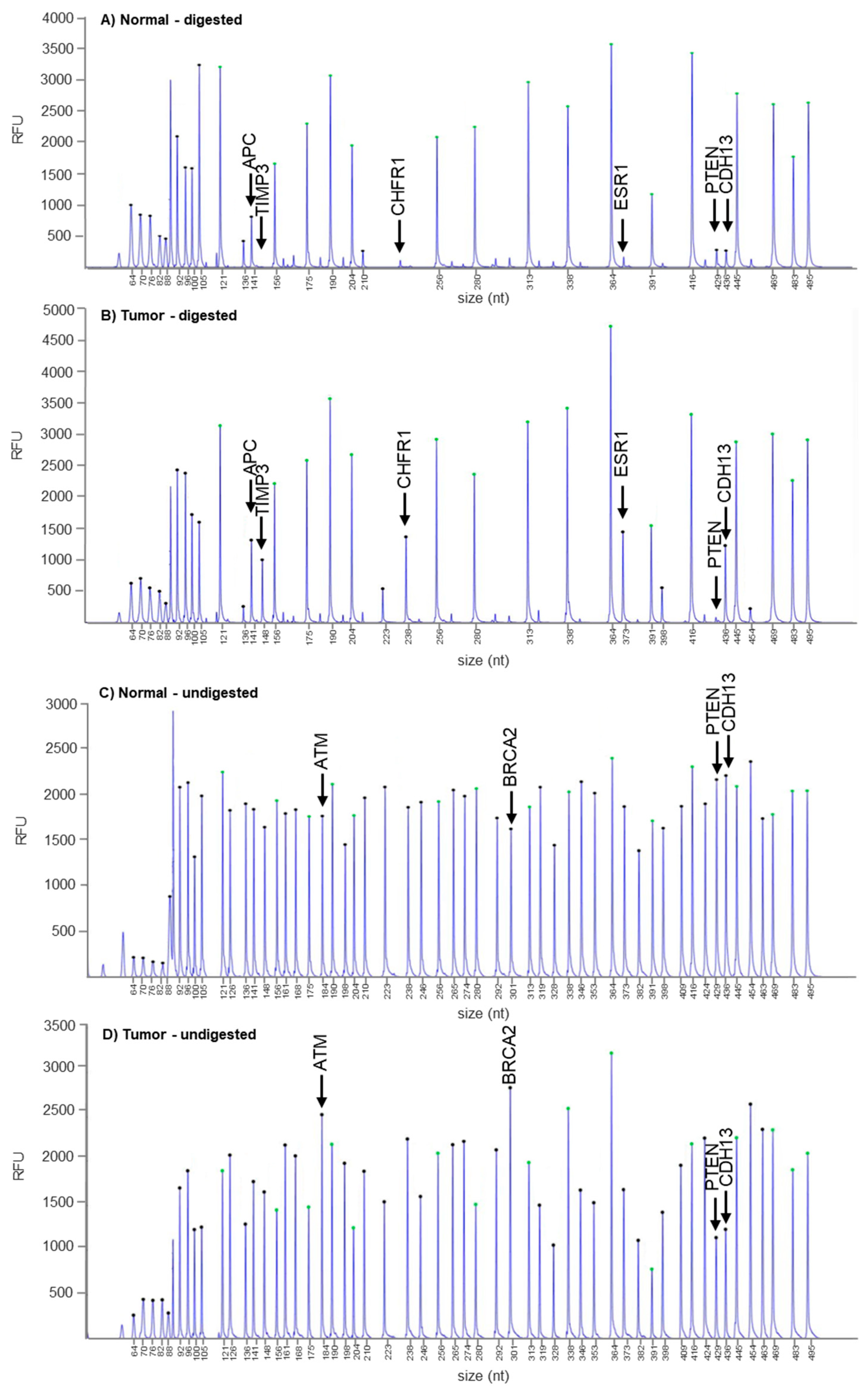 Genes 13 00644 g003