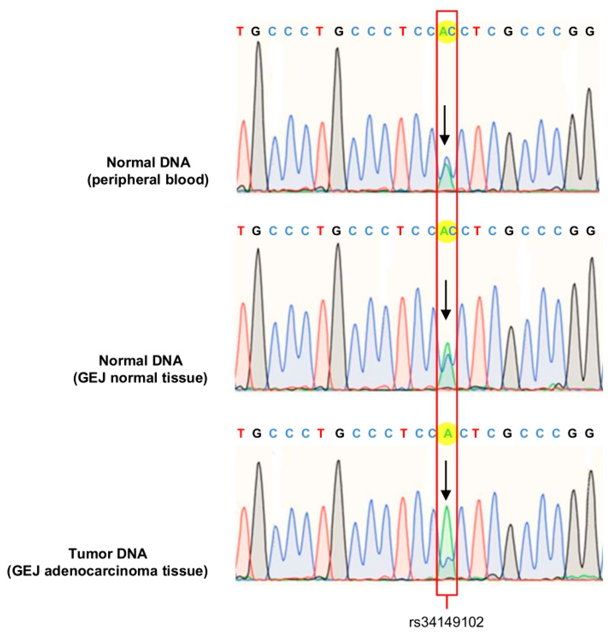 Genes 13 00644 g004
