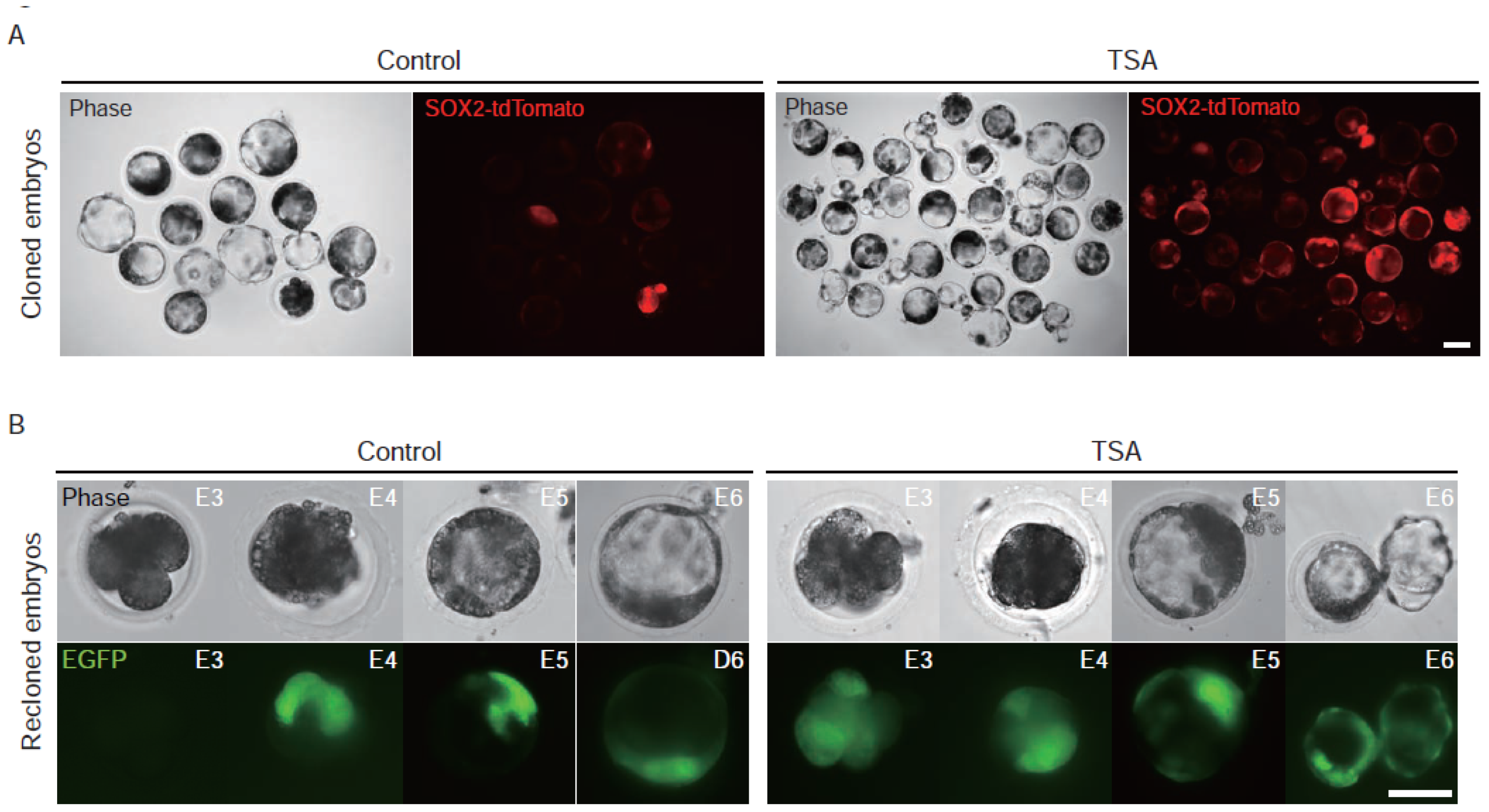 Genes 13 00649 g003