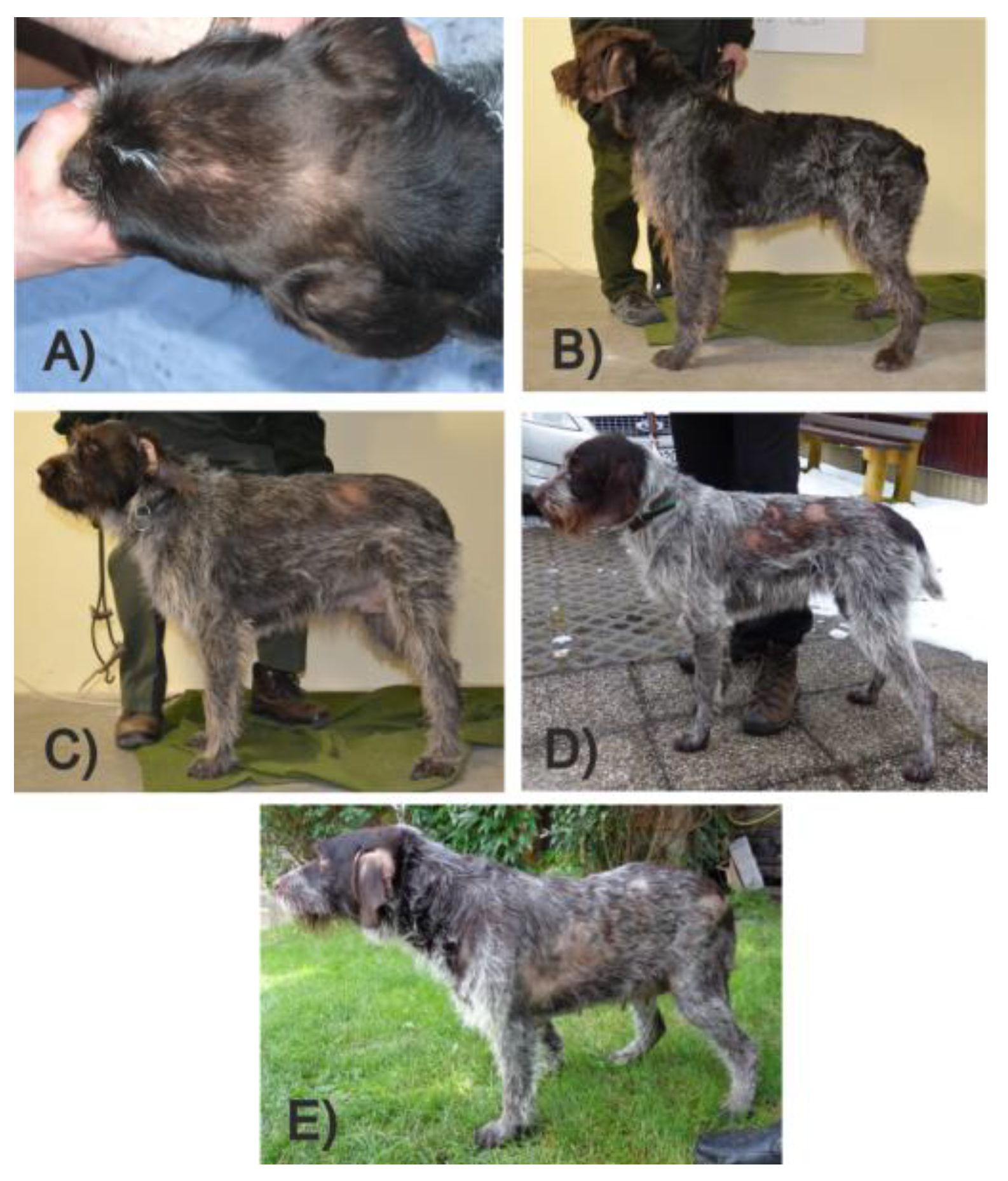 Genes 13 00650 g001 Genes 13 00650 g001