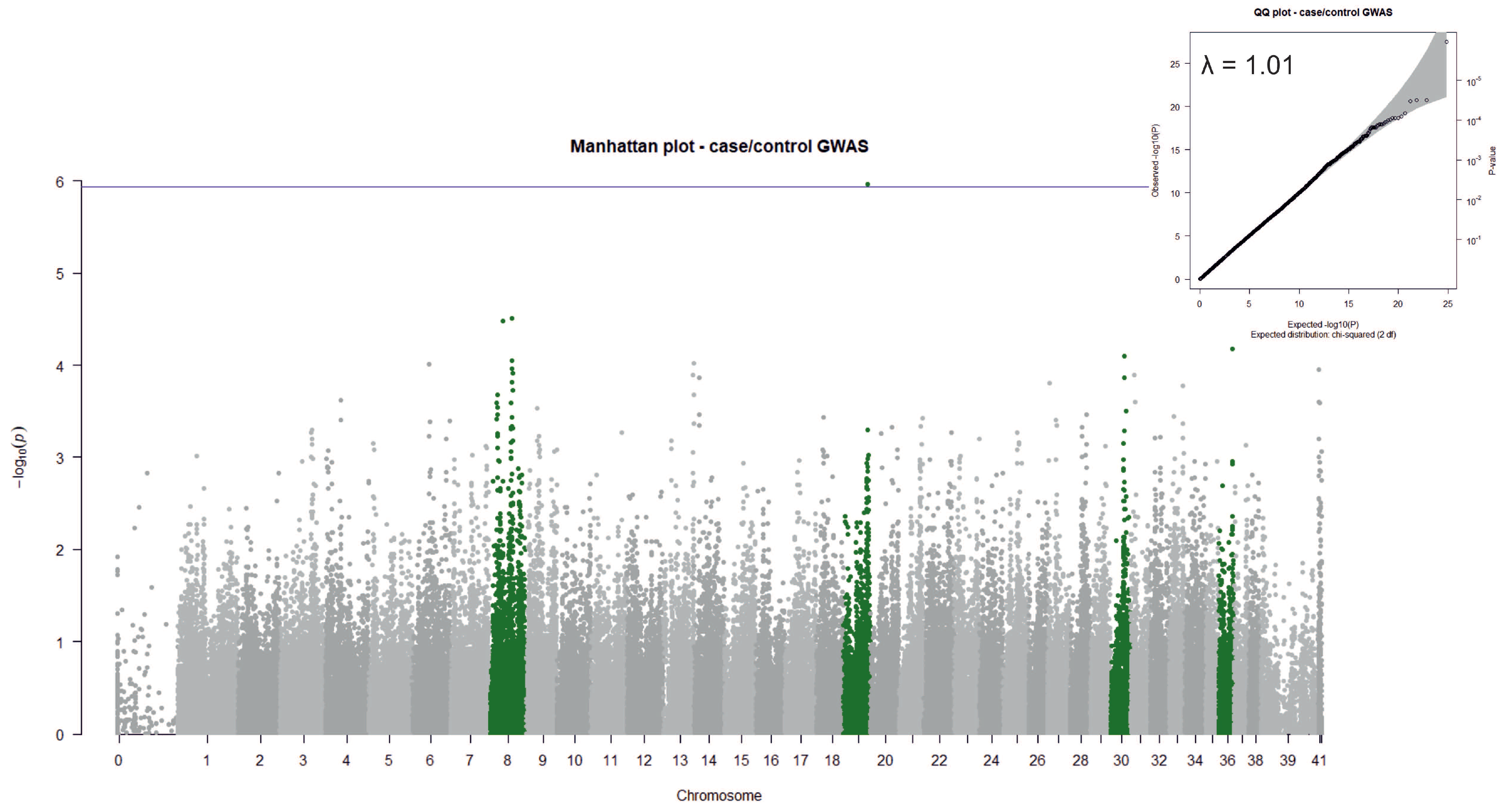 Genes 13 00650 g002 Genes 13 00650 g002
